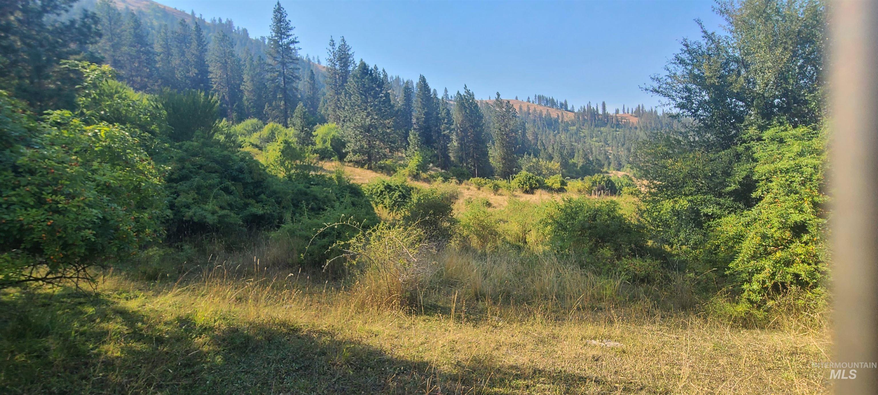 Tbd Riverview Lane Property Photo 6