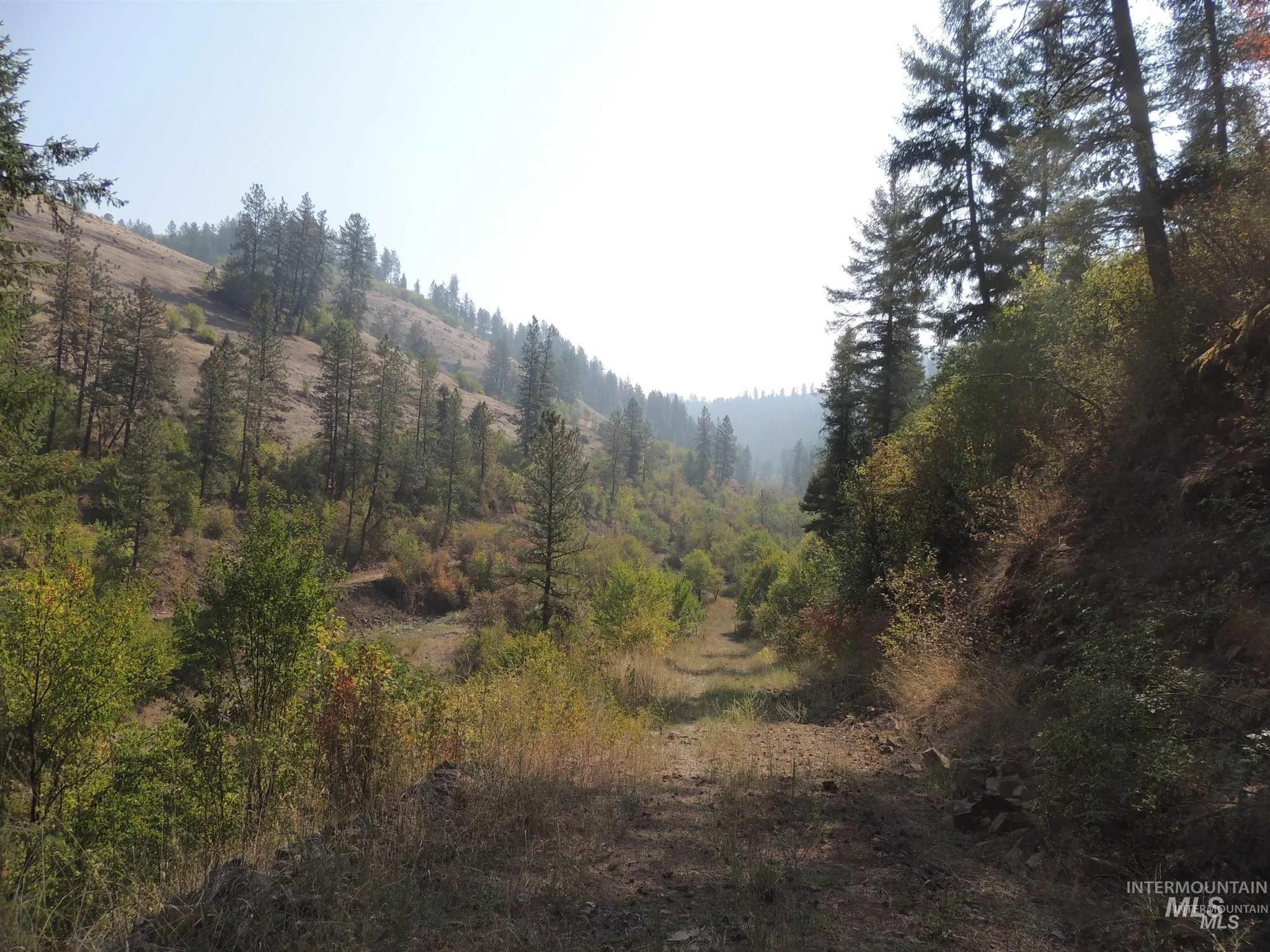 160, 204, 152 Rabbit Creek Road Property Photo 3