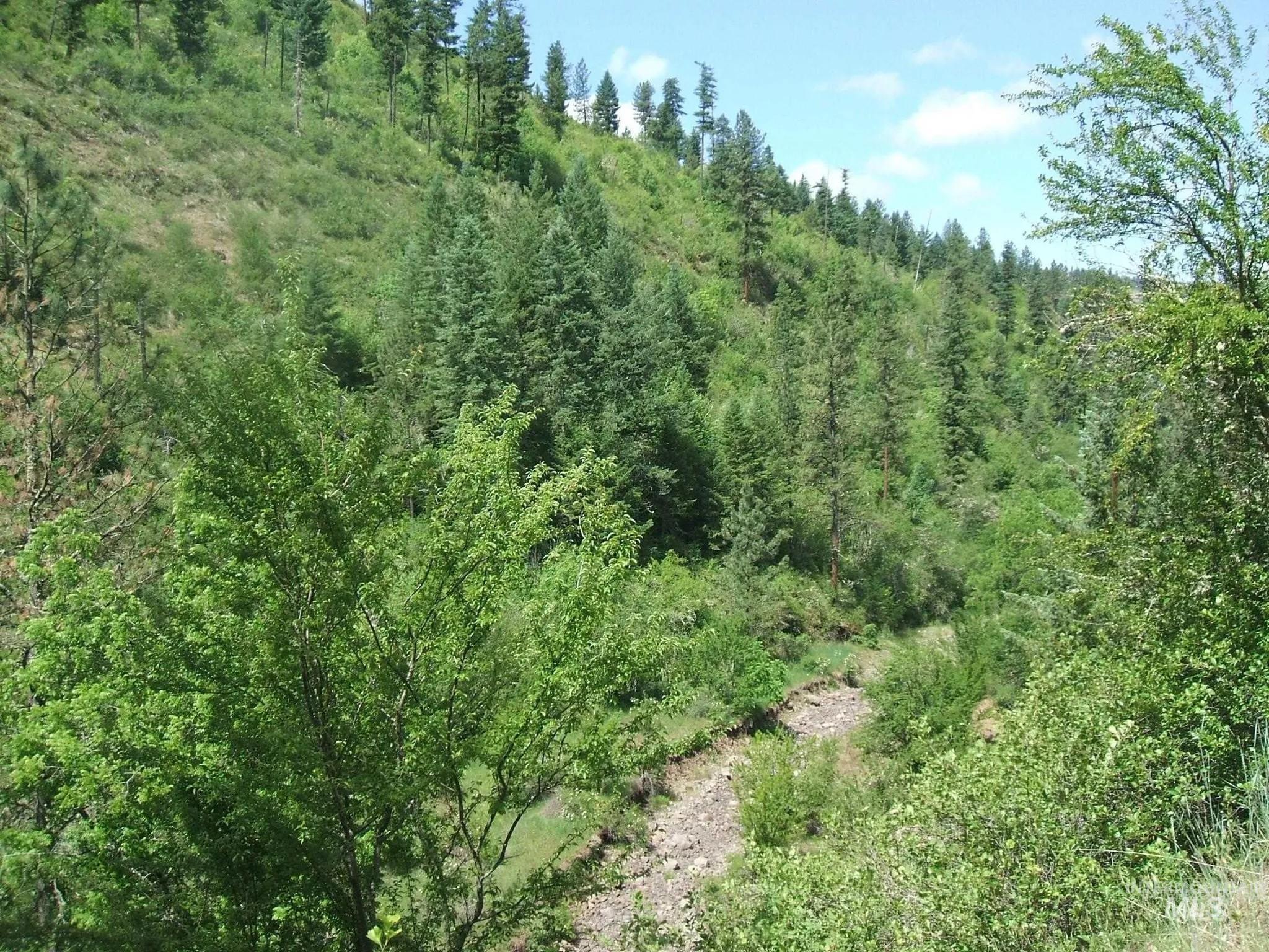 160, 204, 152 Rabbit Creek Road Property Photo 5
