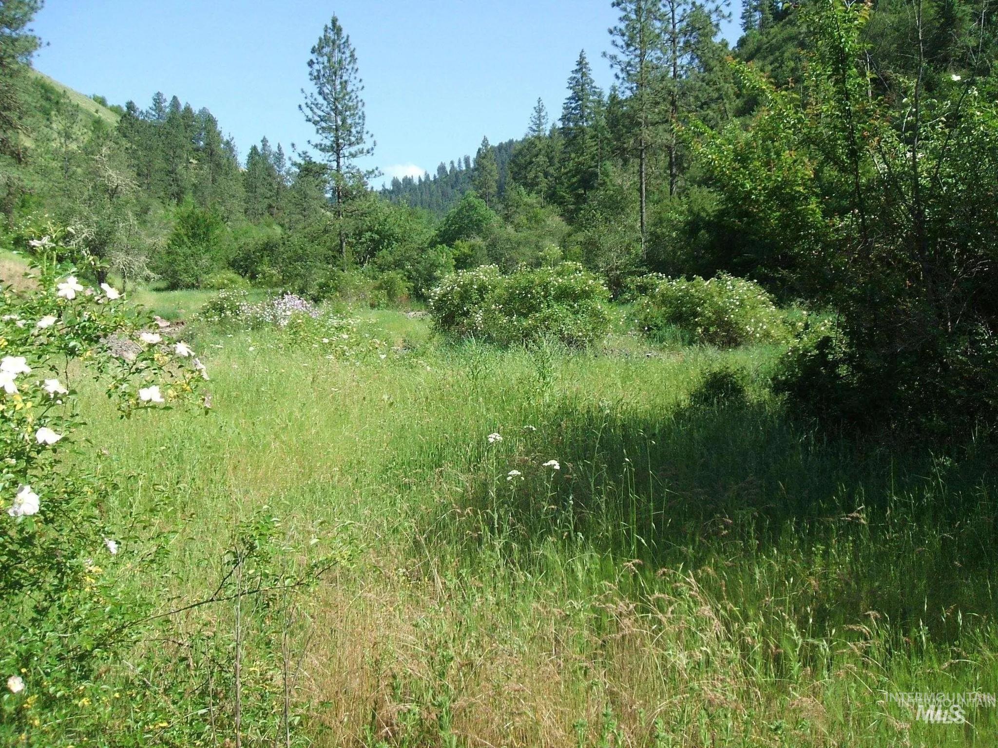 160, 204, 152 Rabbit Creek Road Property Photo 6