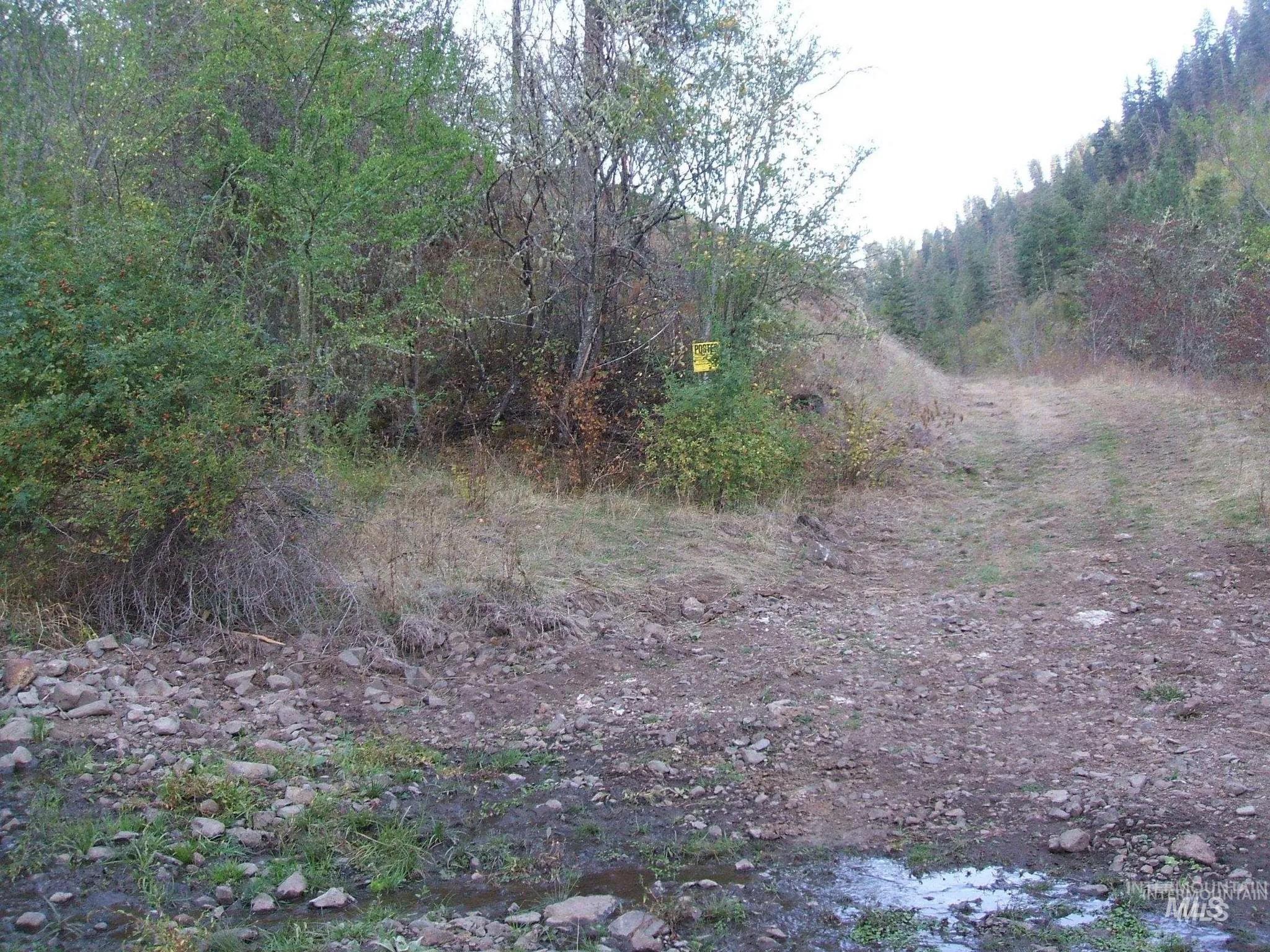 160, 204, 152 Rabbit Creek Road Property Photo 9