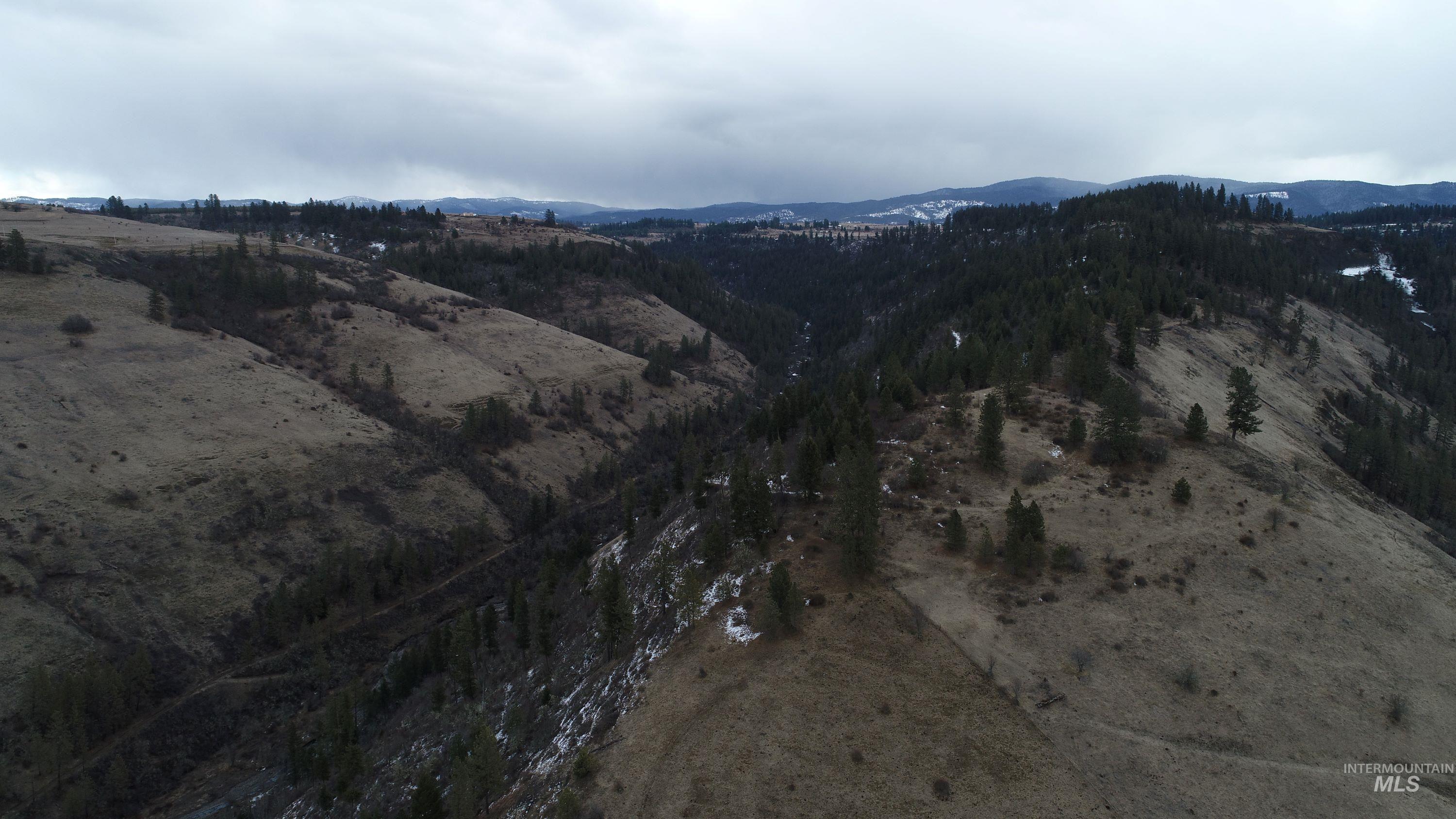 160, 204, 152 Rabbit Creek Road Property Photo 21