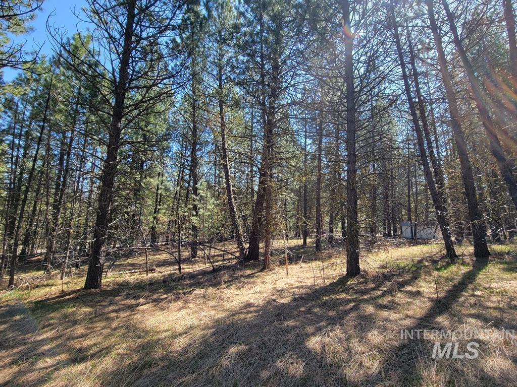 110 E Prospectors Drive Property Photo 2