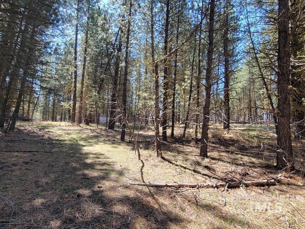 110 E Prospectors Drive Property Photo 6