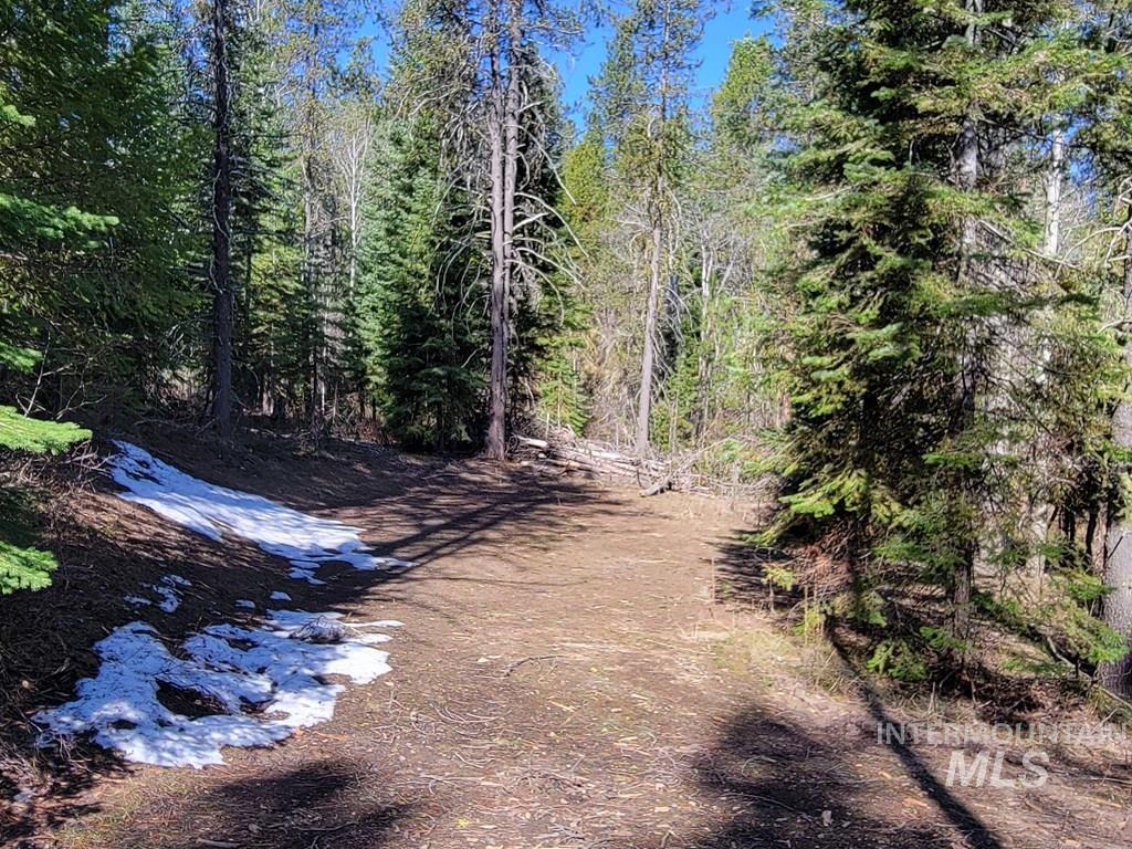210 Bear Wallow Road Property Photo 16