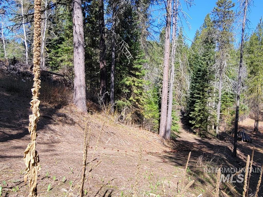 210 Bear Wallow Road Property Photo 17