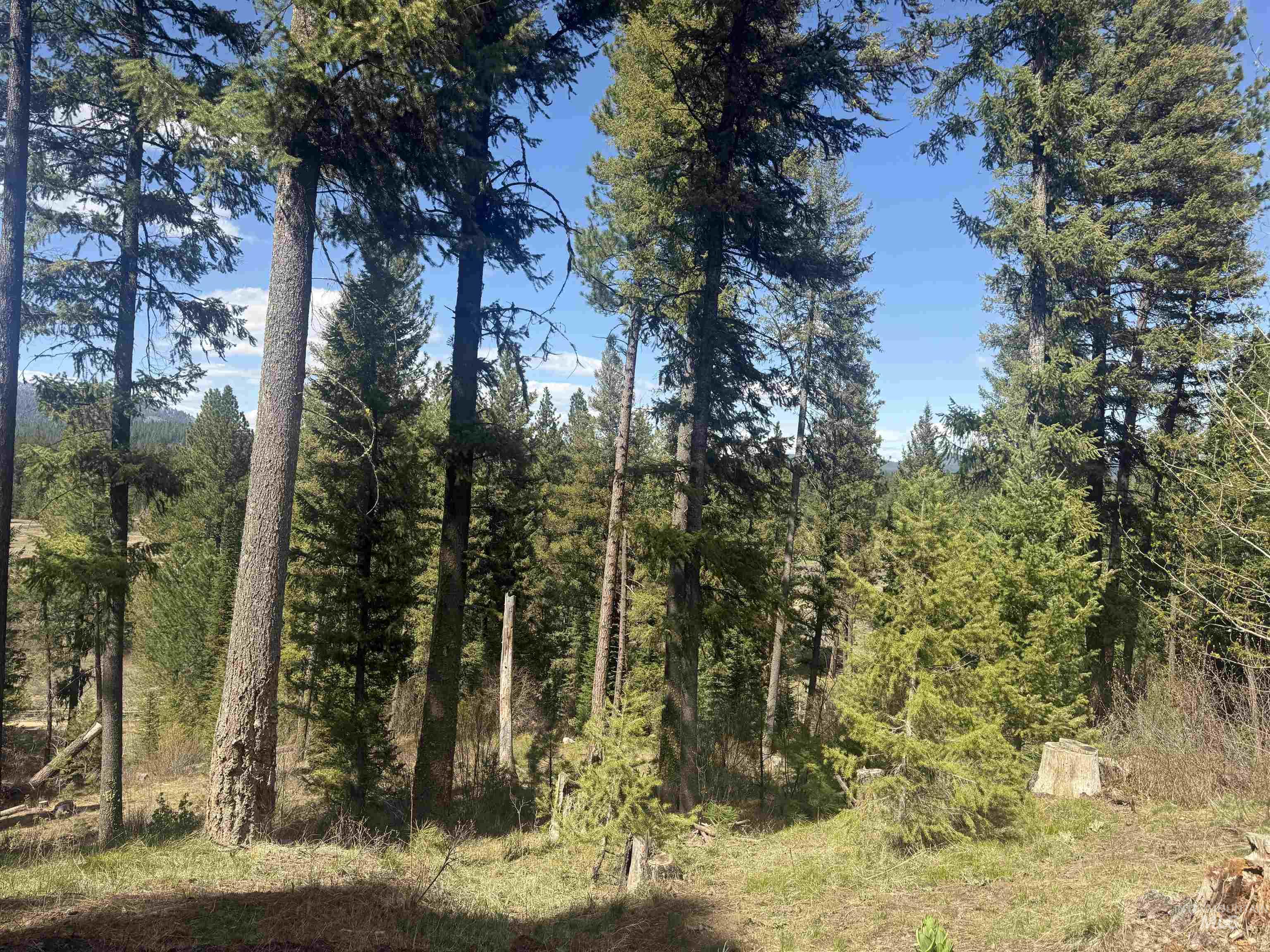 26 Doaka Ct Property Photo 28