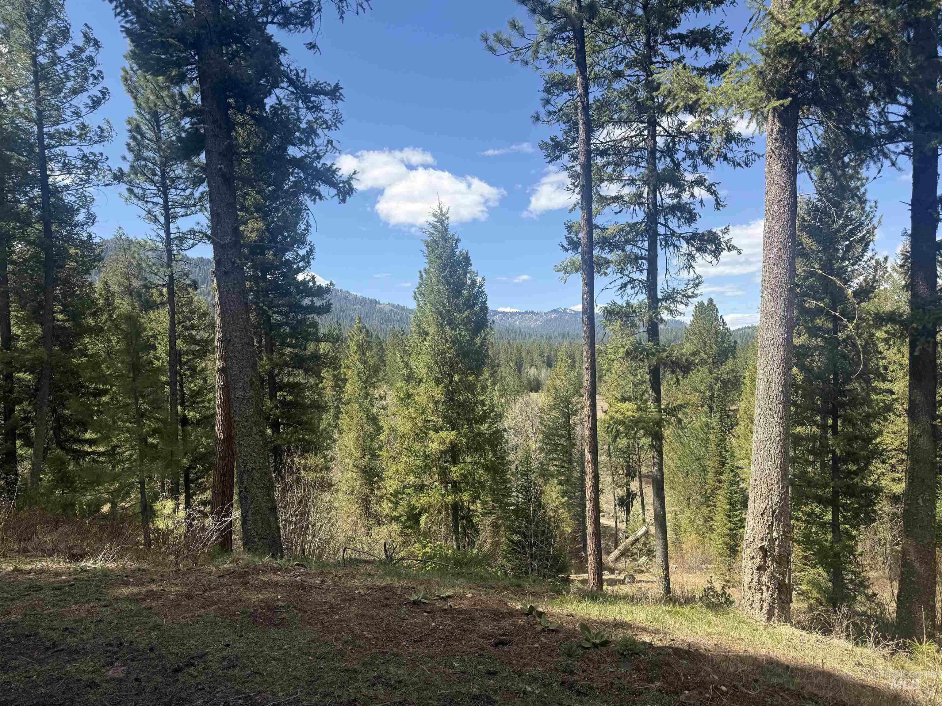 26 Doaka Ct Property Photo 29