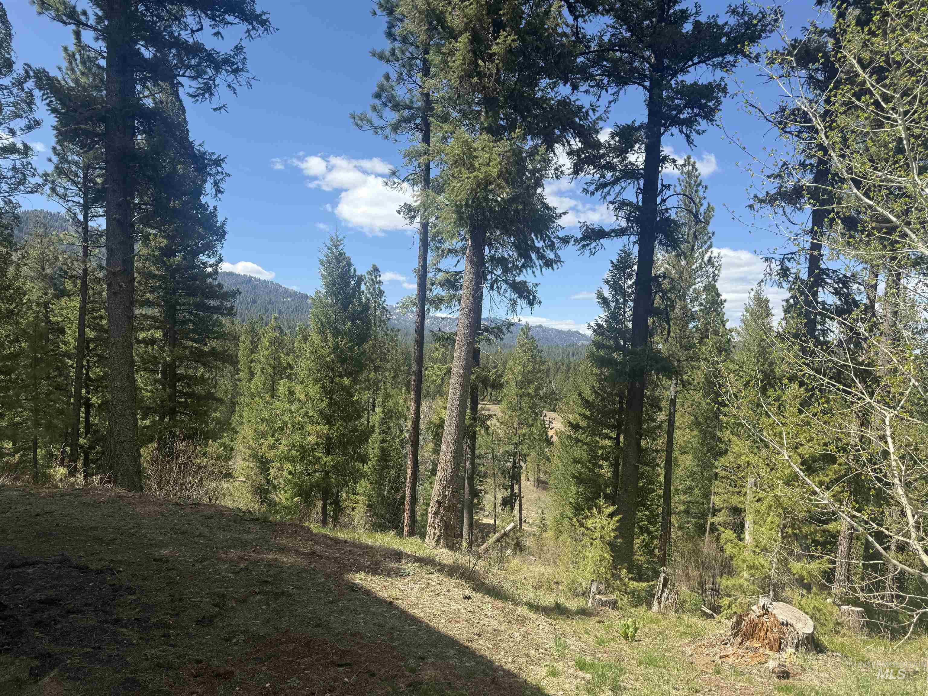 26 Doaka Ct Property Photo 30