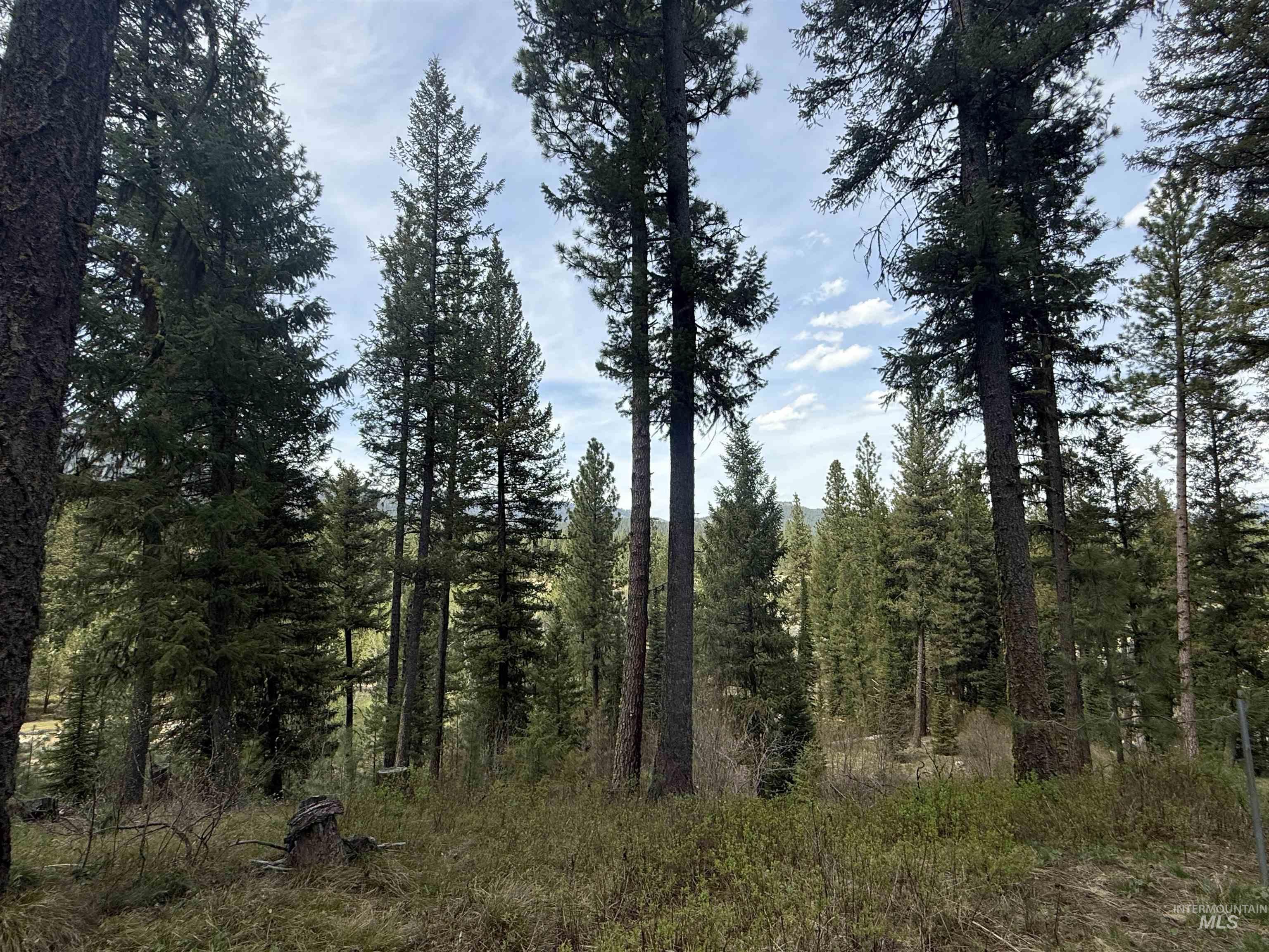 26 Doaka Ct Property Photo 31