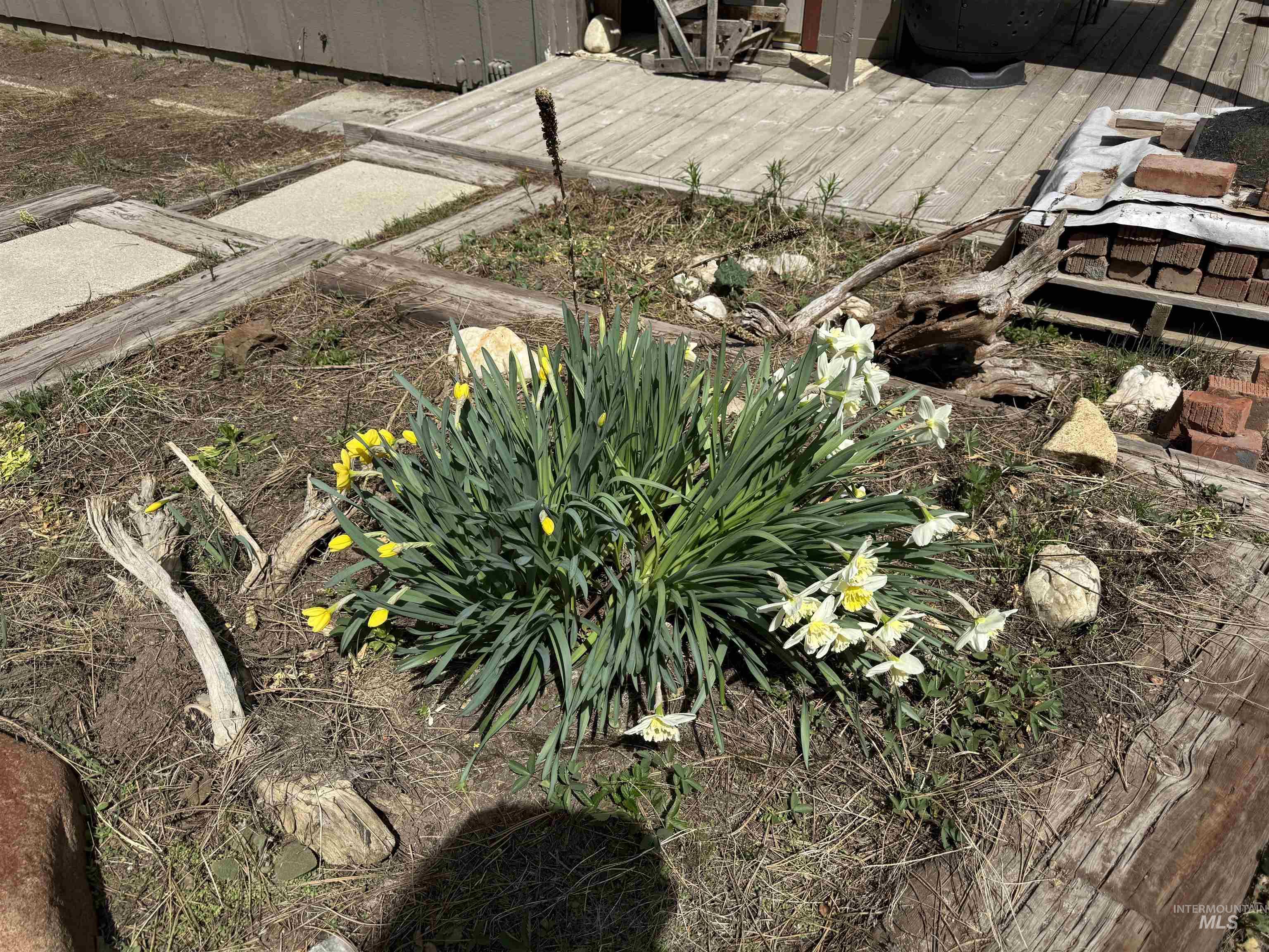 26 Doaka Ct Property Photo 39