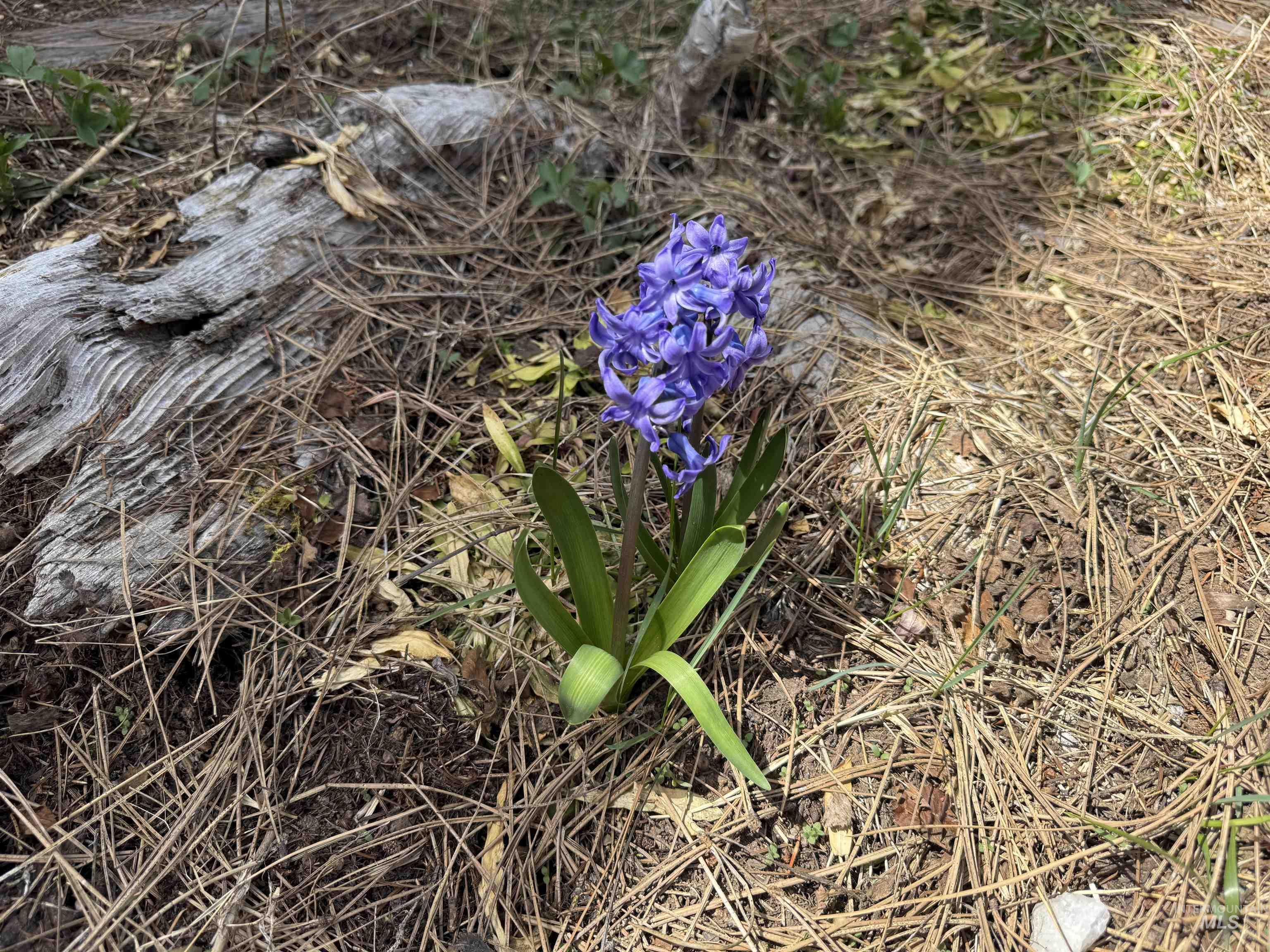 26 Doaka Ct Property Photo 40