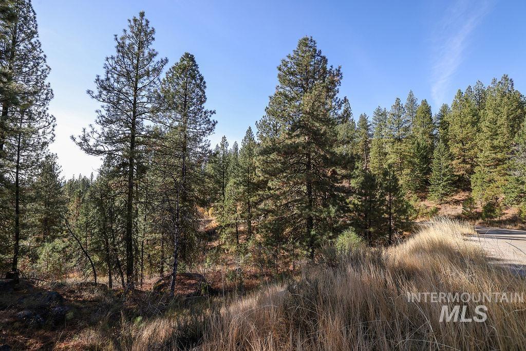 Tbd Joshua Drive Property Photo 5