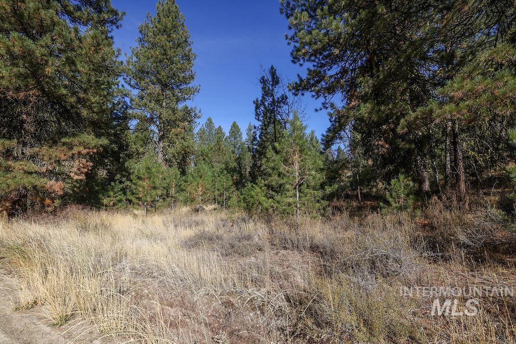 Tbd Joshua Drive Property Photo 13