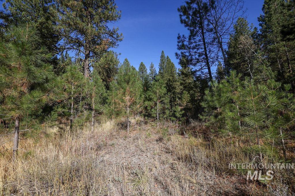 Tbd Joshua Drive Property Photo 14