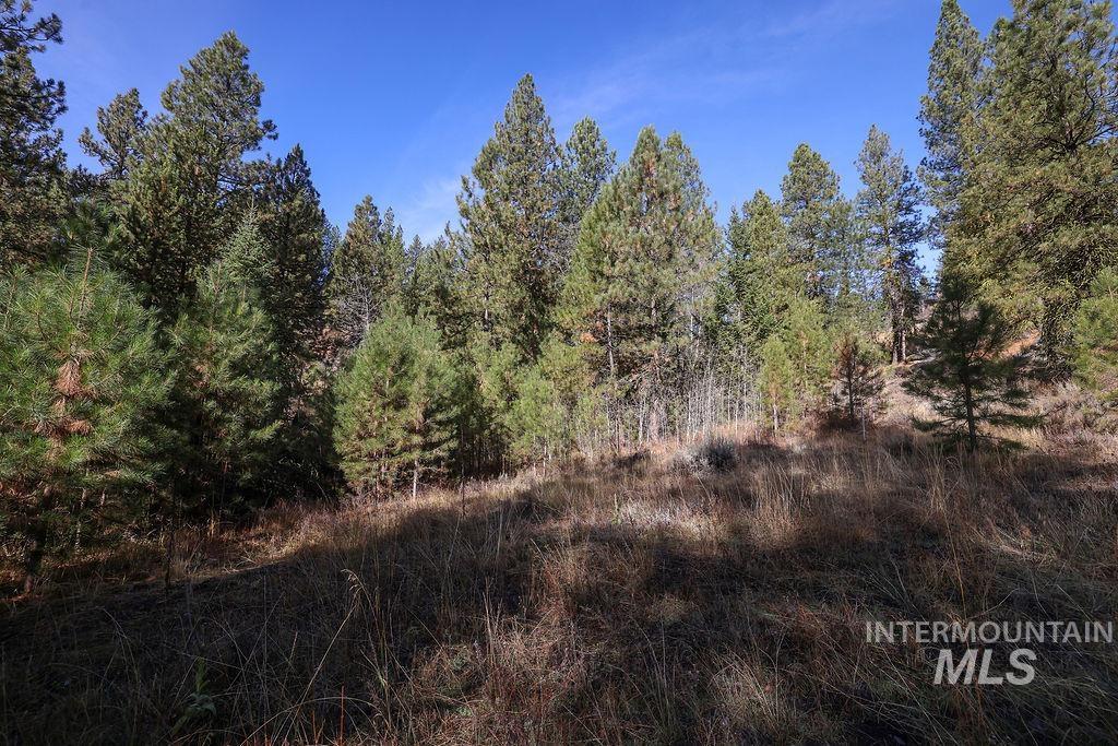 Tbd Joshua Drive Property Photo 17