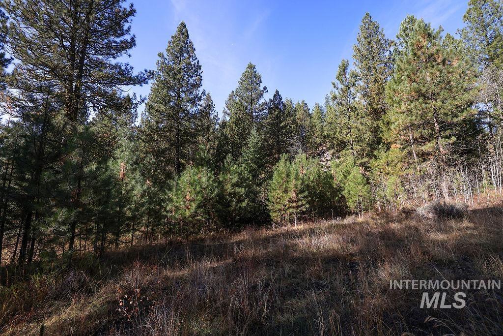 Tbd Joshua Drive Property Photo 18