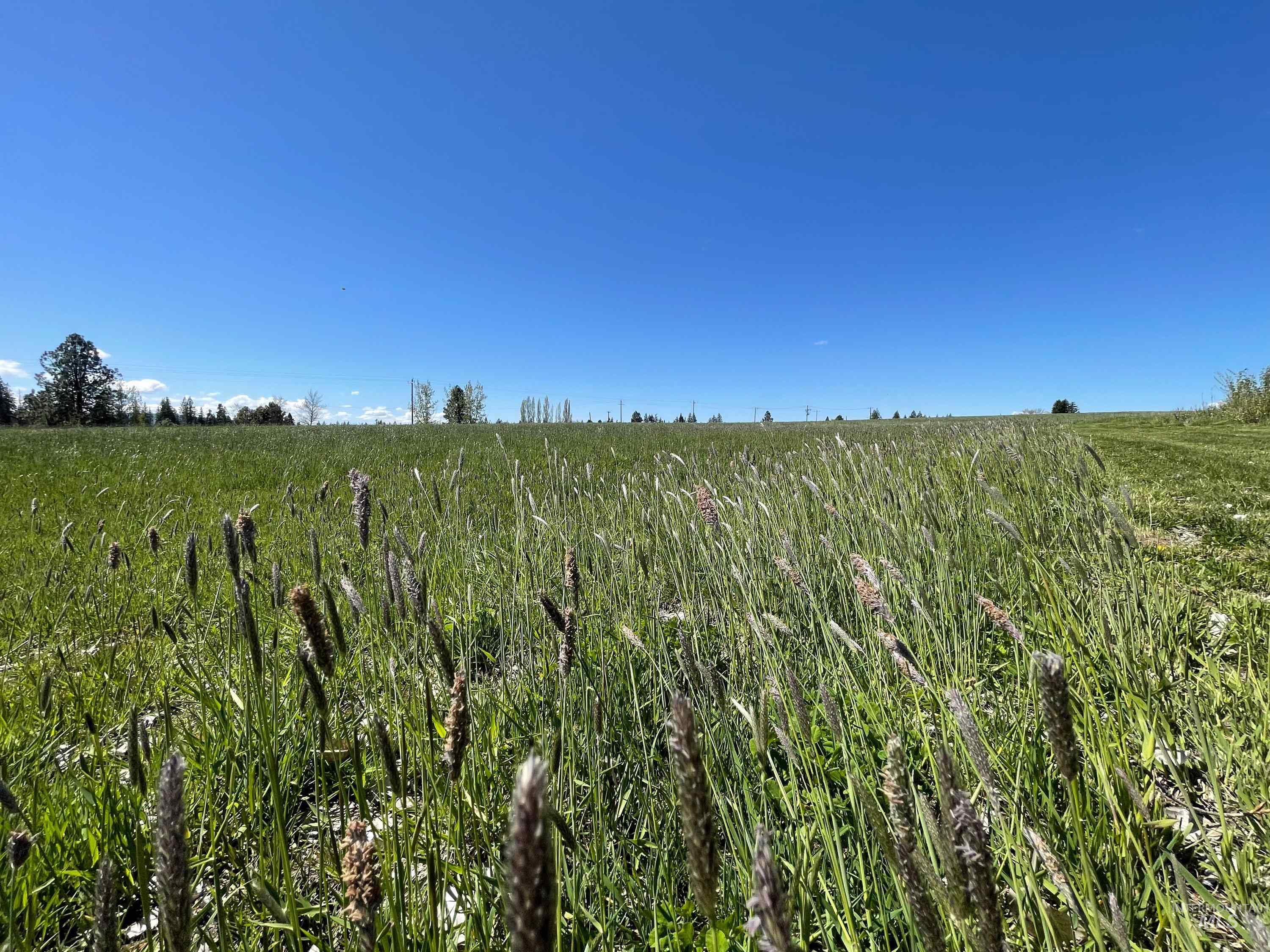 56922 S Hwy 97 Property Photo 28