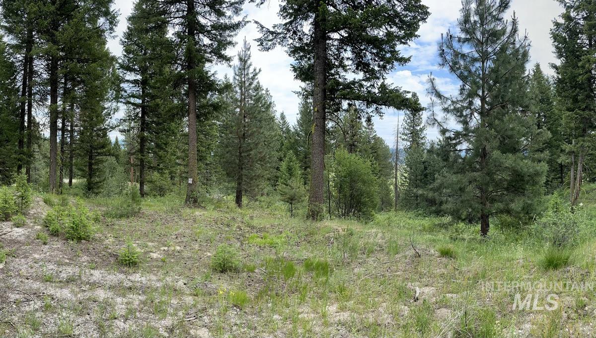L3 B2 Rehn Loop Property Photo 2