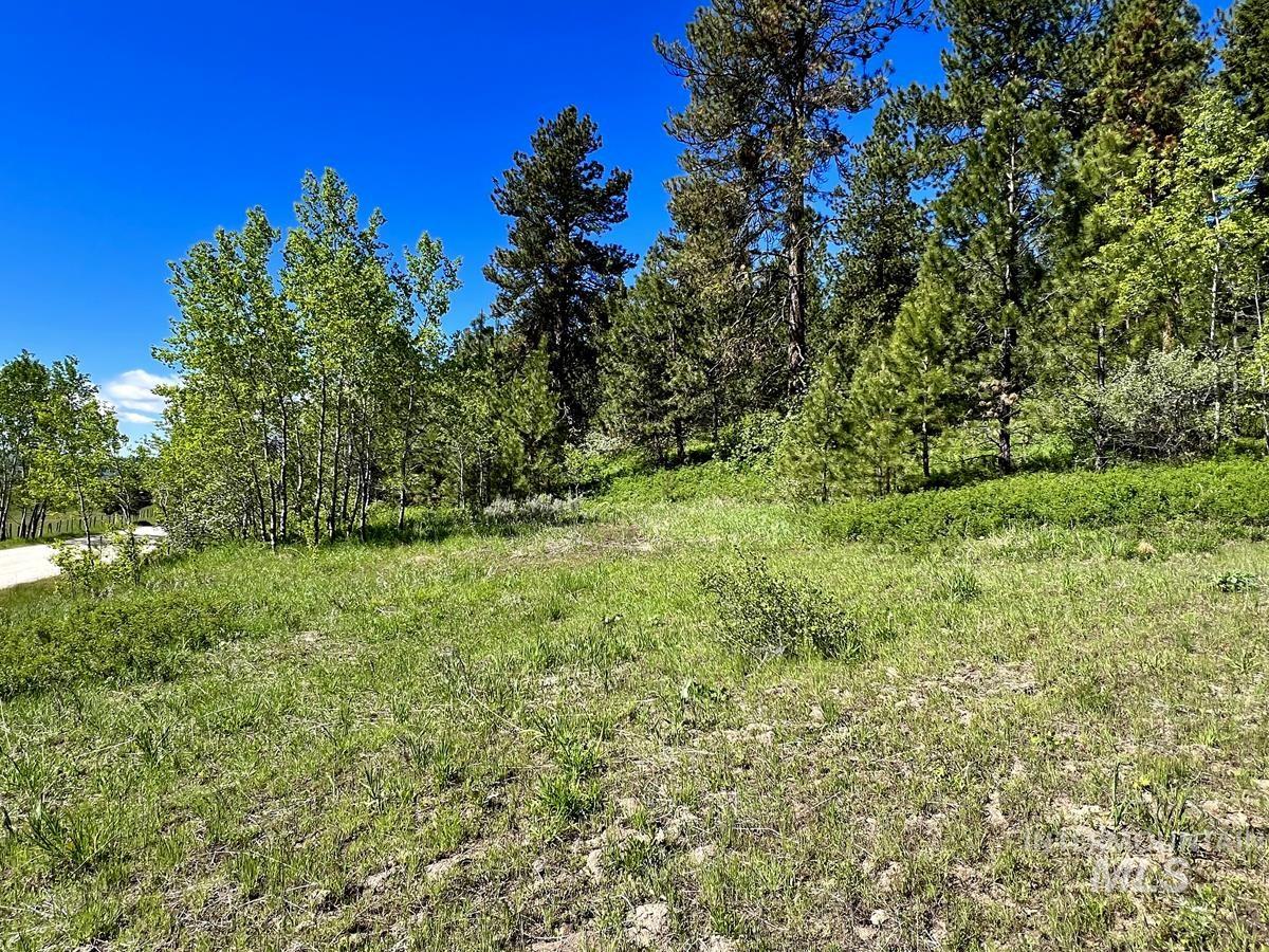 L3 B2 Rehn Loop Property Photo 4