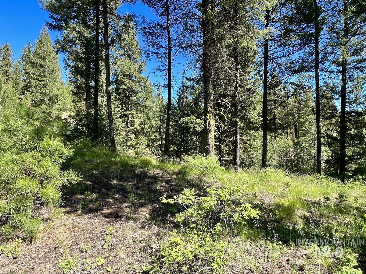 L3 B2 Rehn Loop Property Photo 10