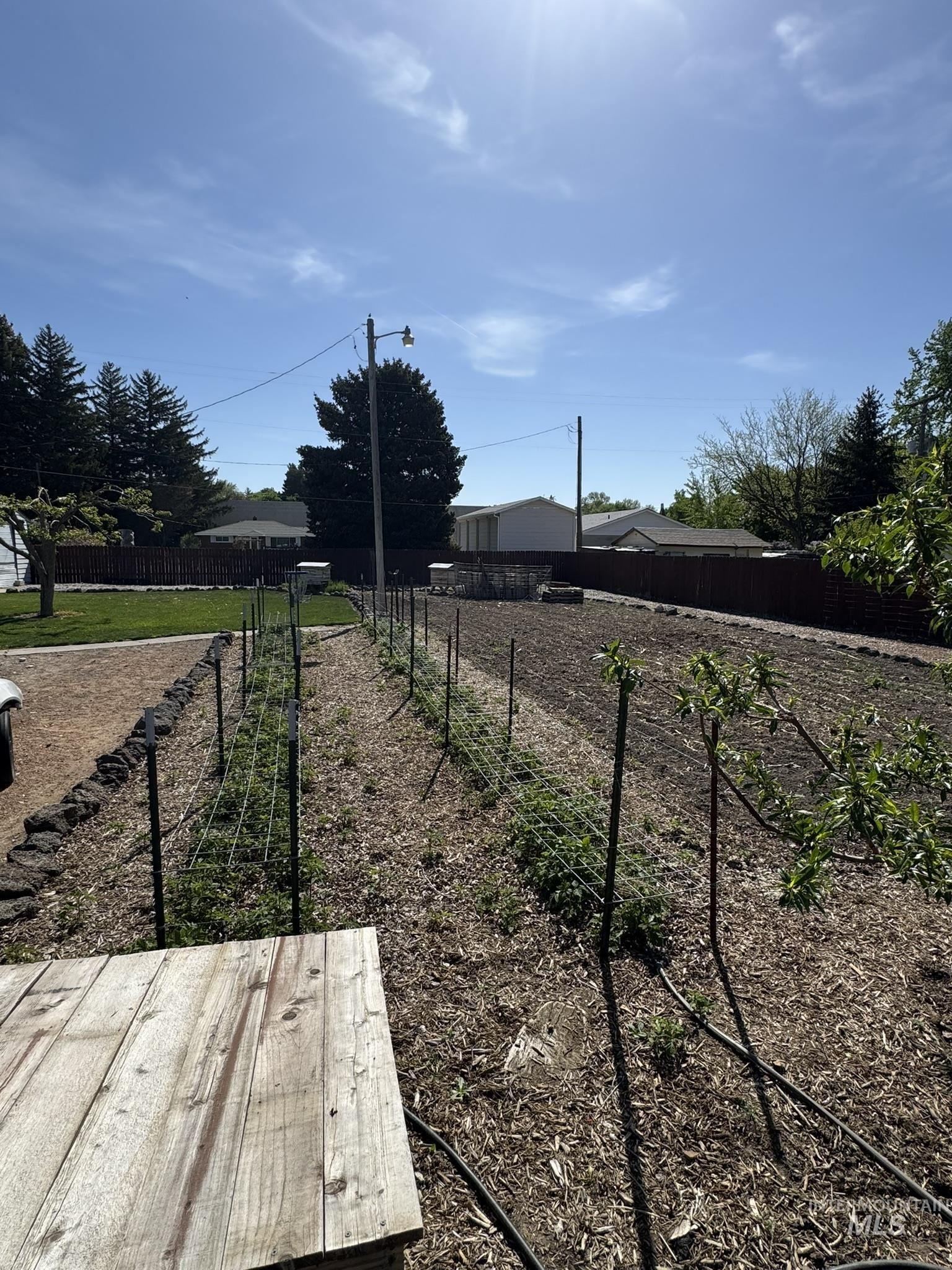 1410 California Street Property Photo 40
