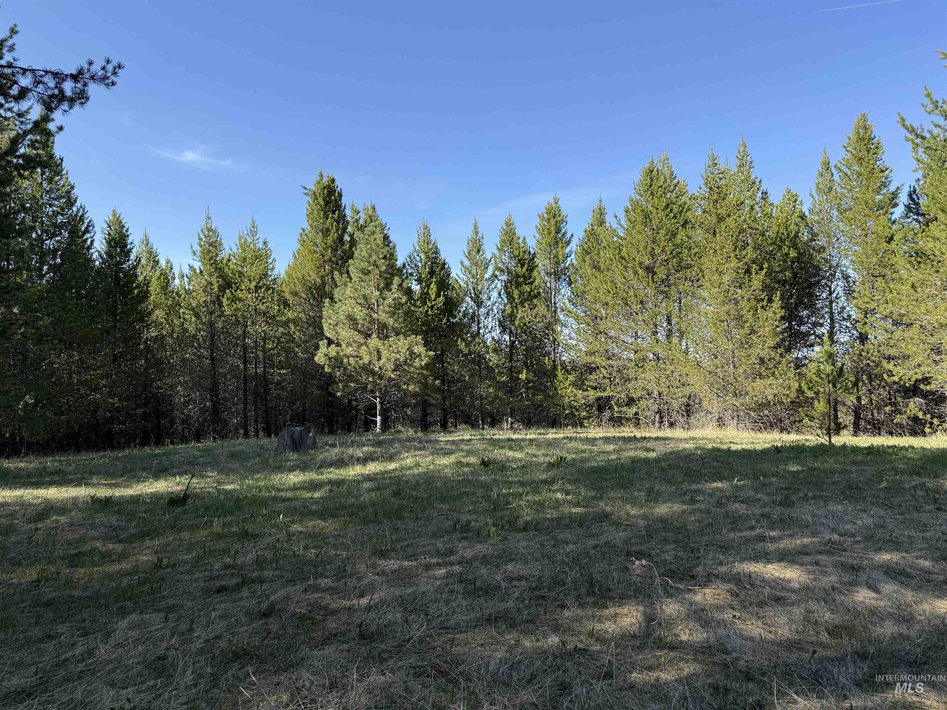 Tbd Stevens Rd Property Photo 4