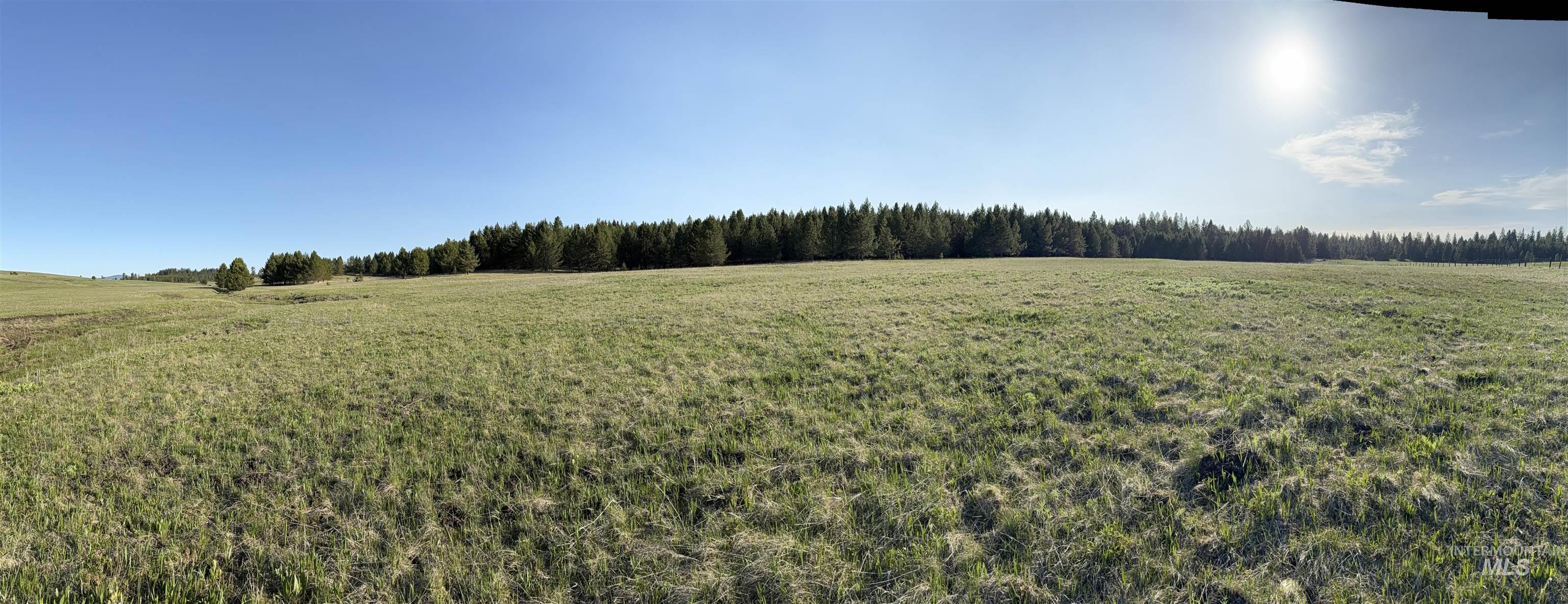 Tbd Stevens Rd Property Photo 5