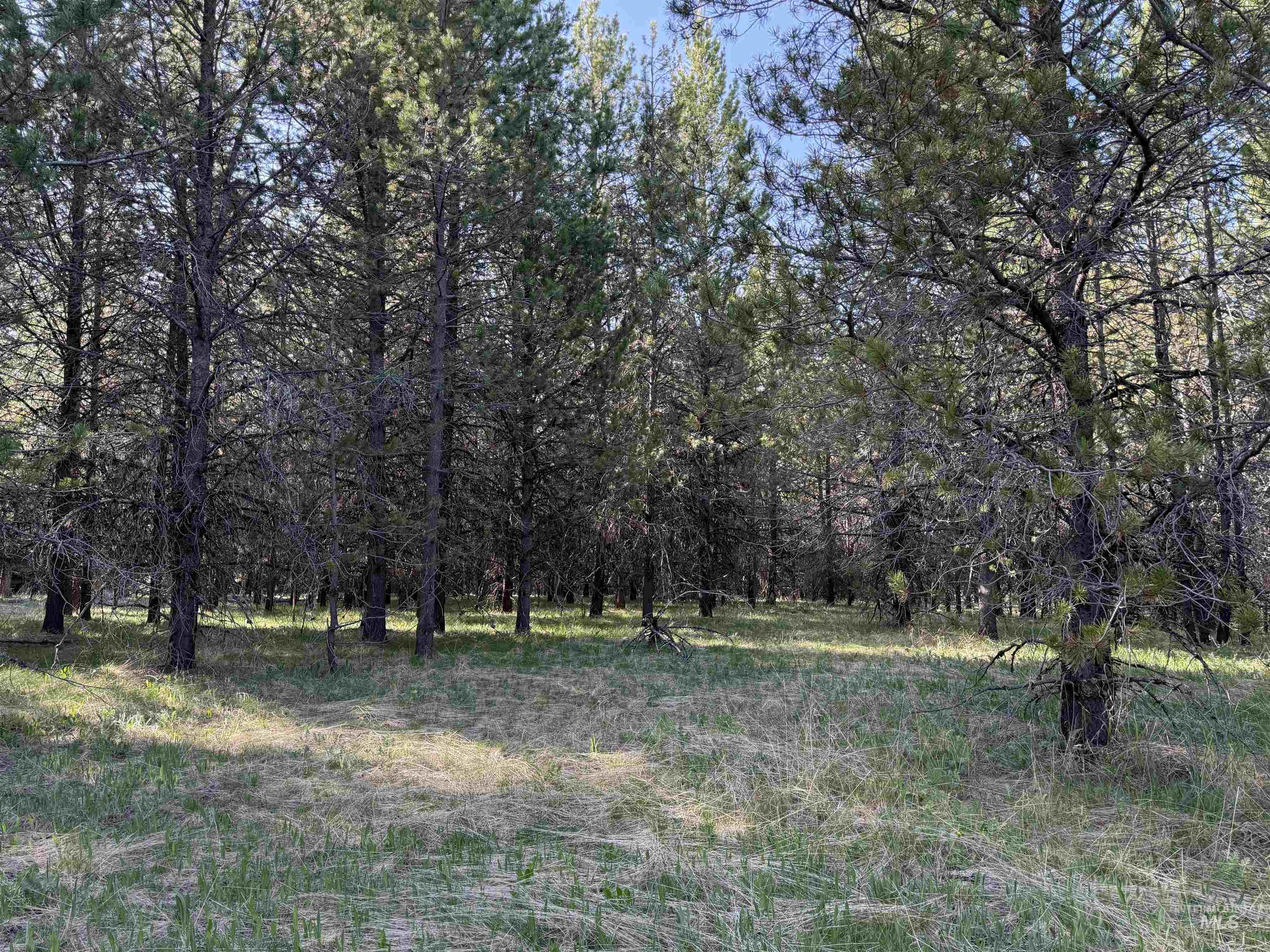 Tbd Stevens Rd Property Photo 6