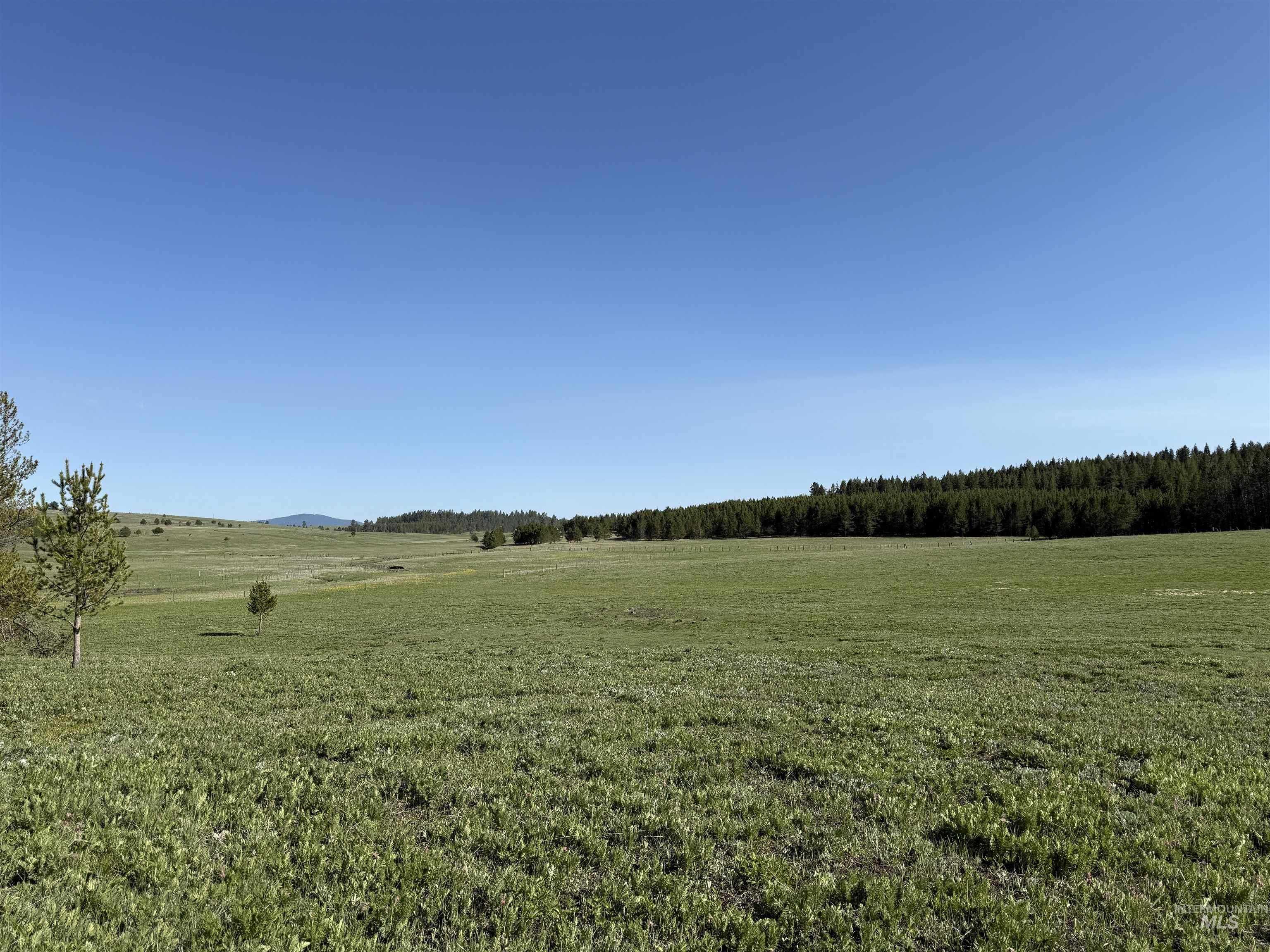 Tbd Stevens Rd Property Photo 7