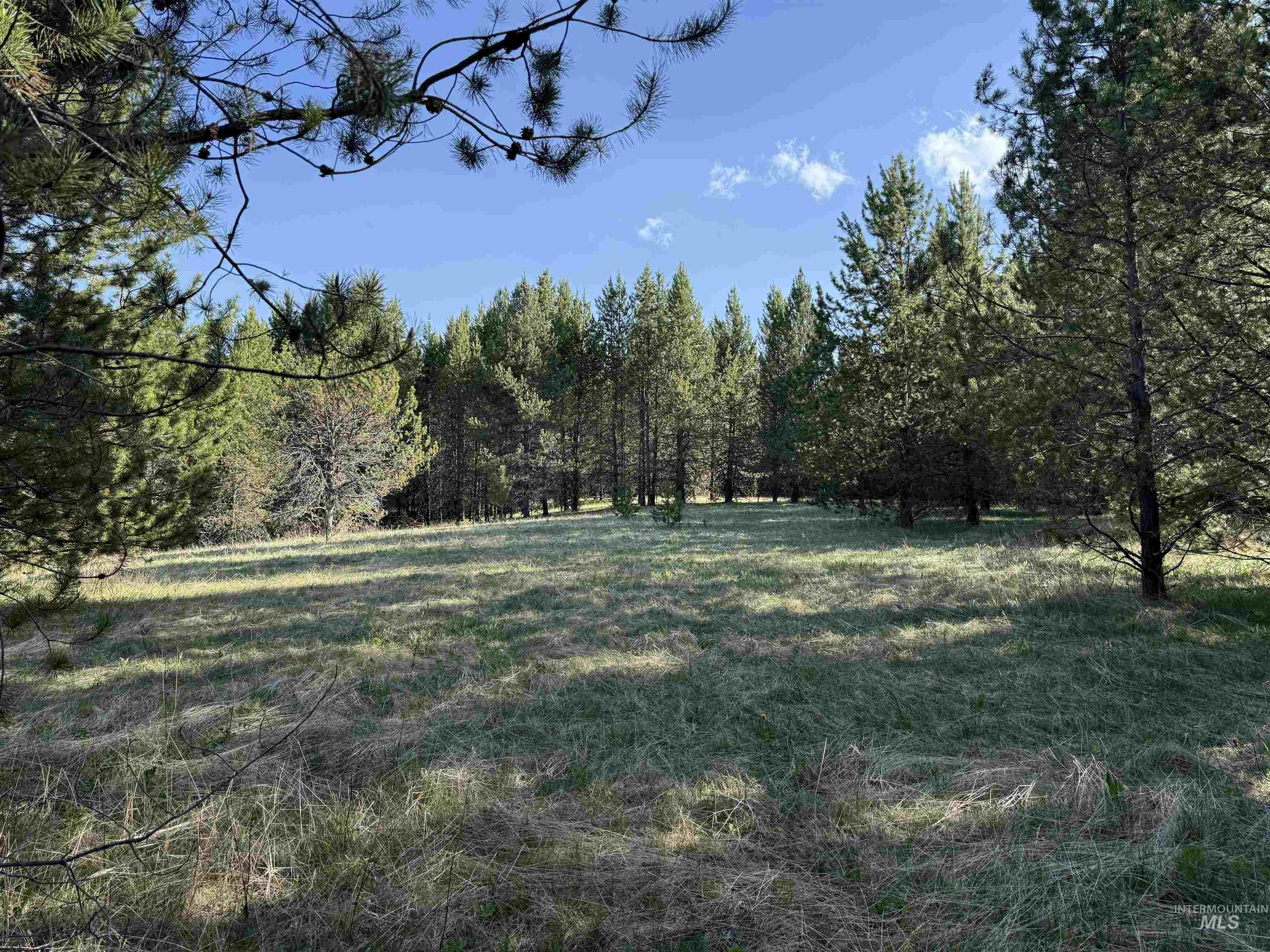 Tbd Stevens Rd Property Photo 8