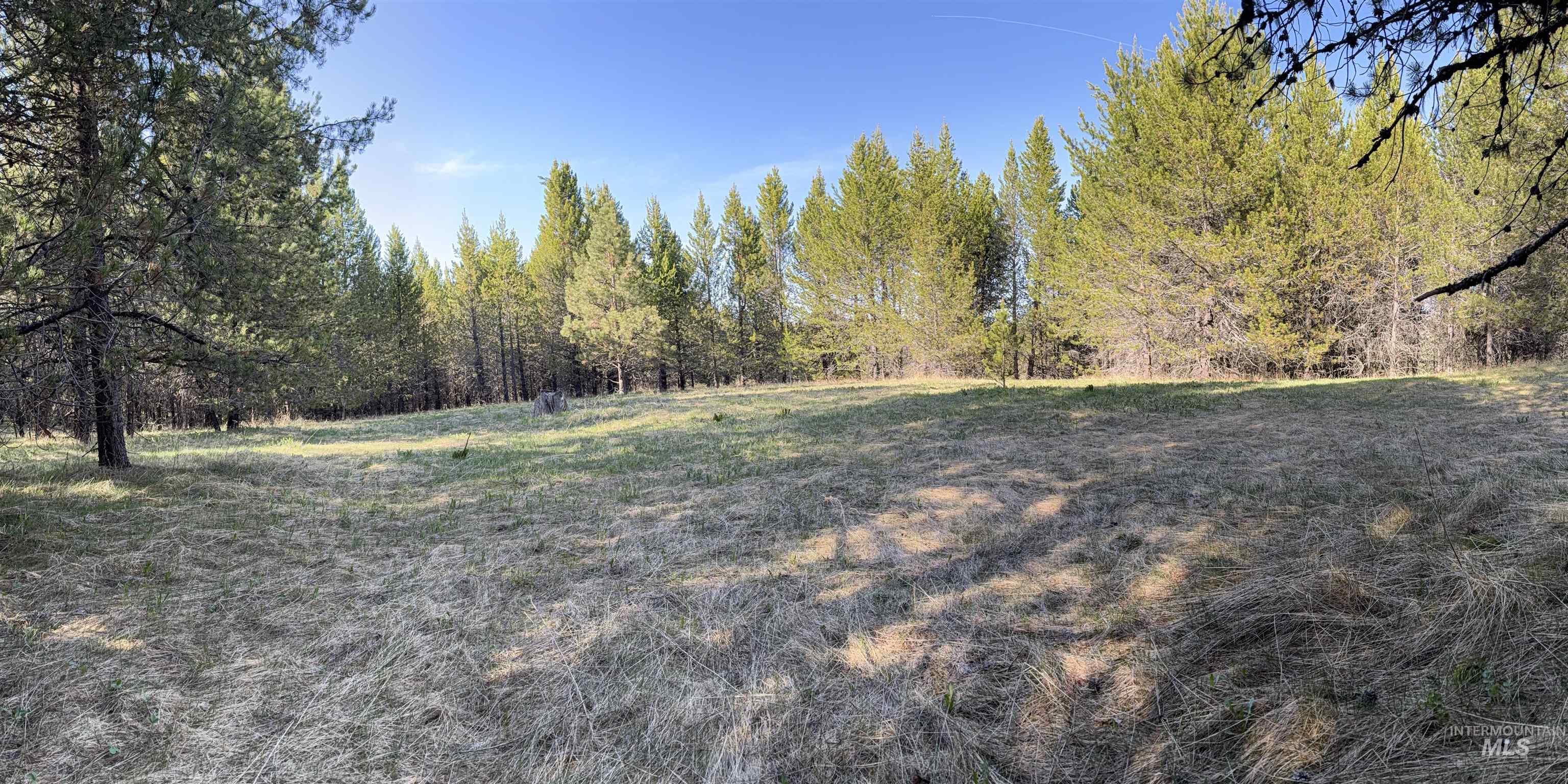 Tbd Stevens Rd Property Photo 10