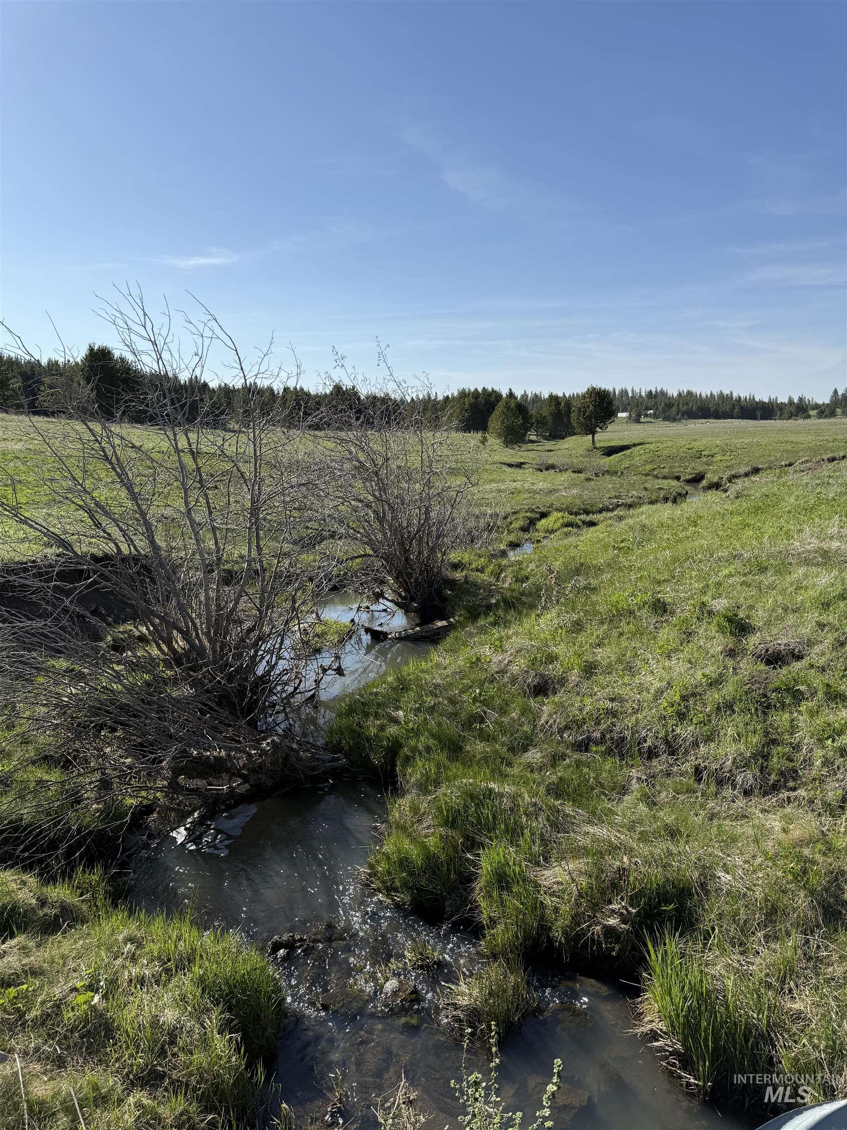 Tbd Stevens Rd Property Photo 20
