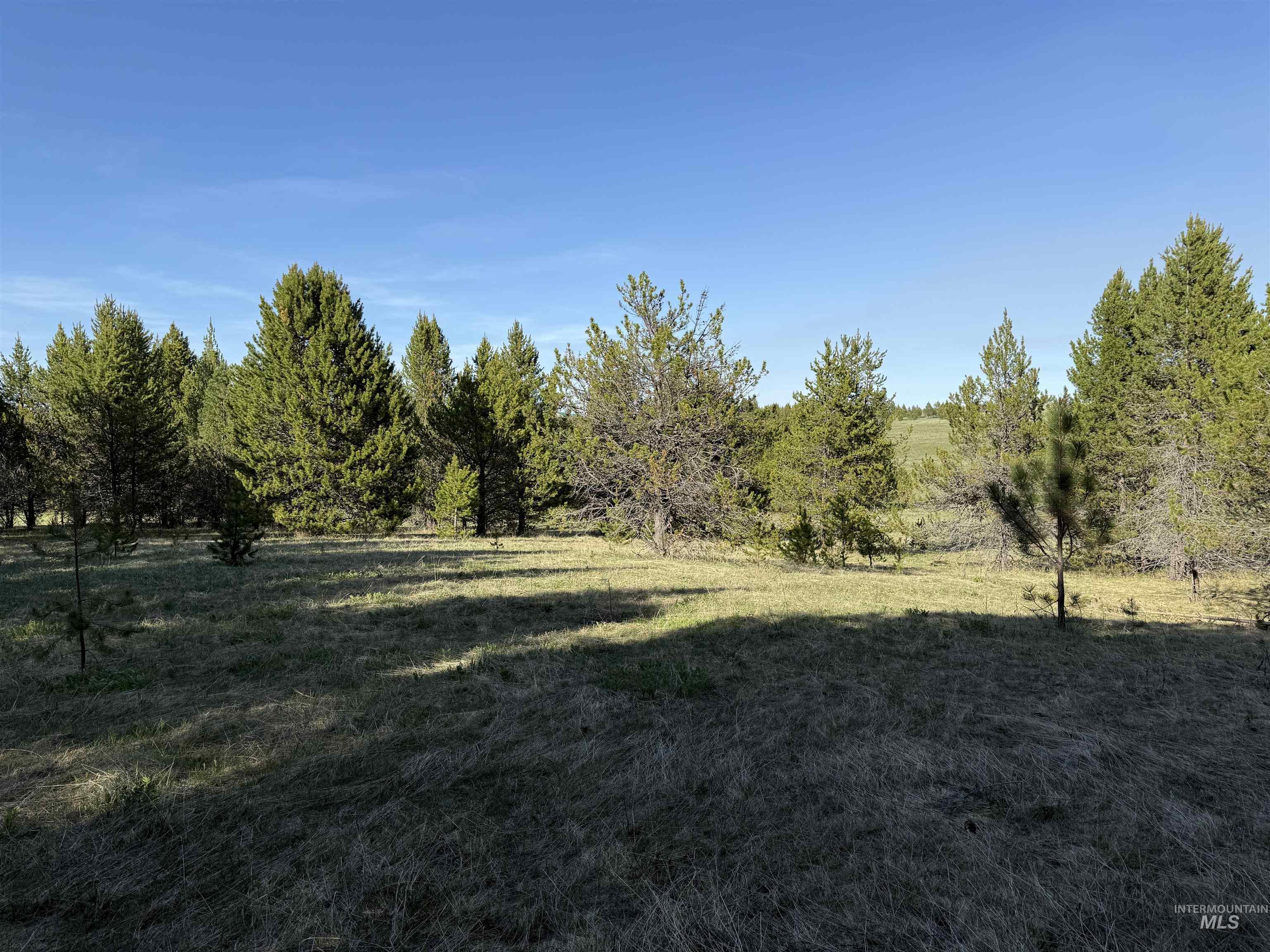 Tbd Stevens Rd Property Photo 21