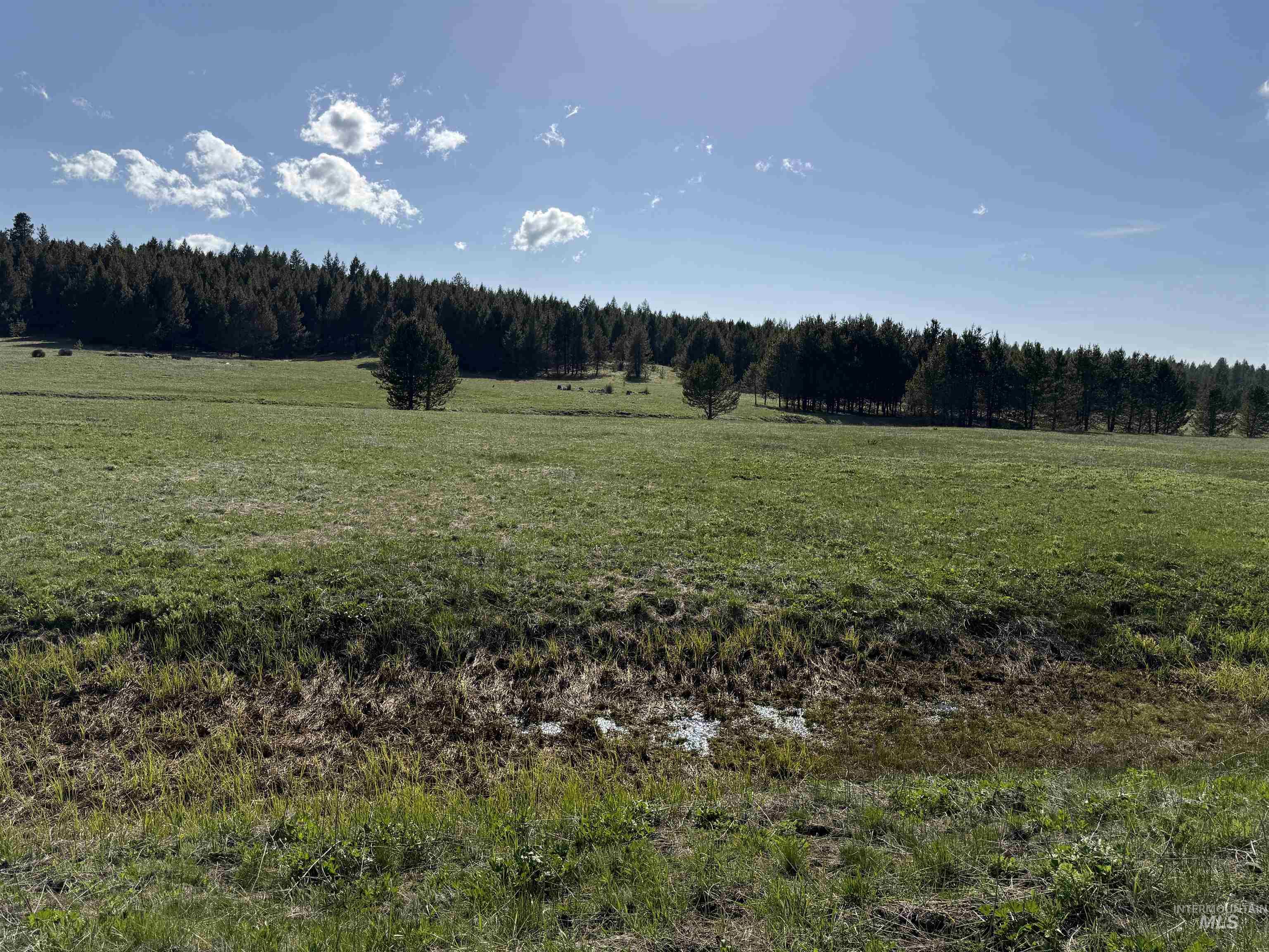 Tbd Stevens Rd Property Photo 22