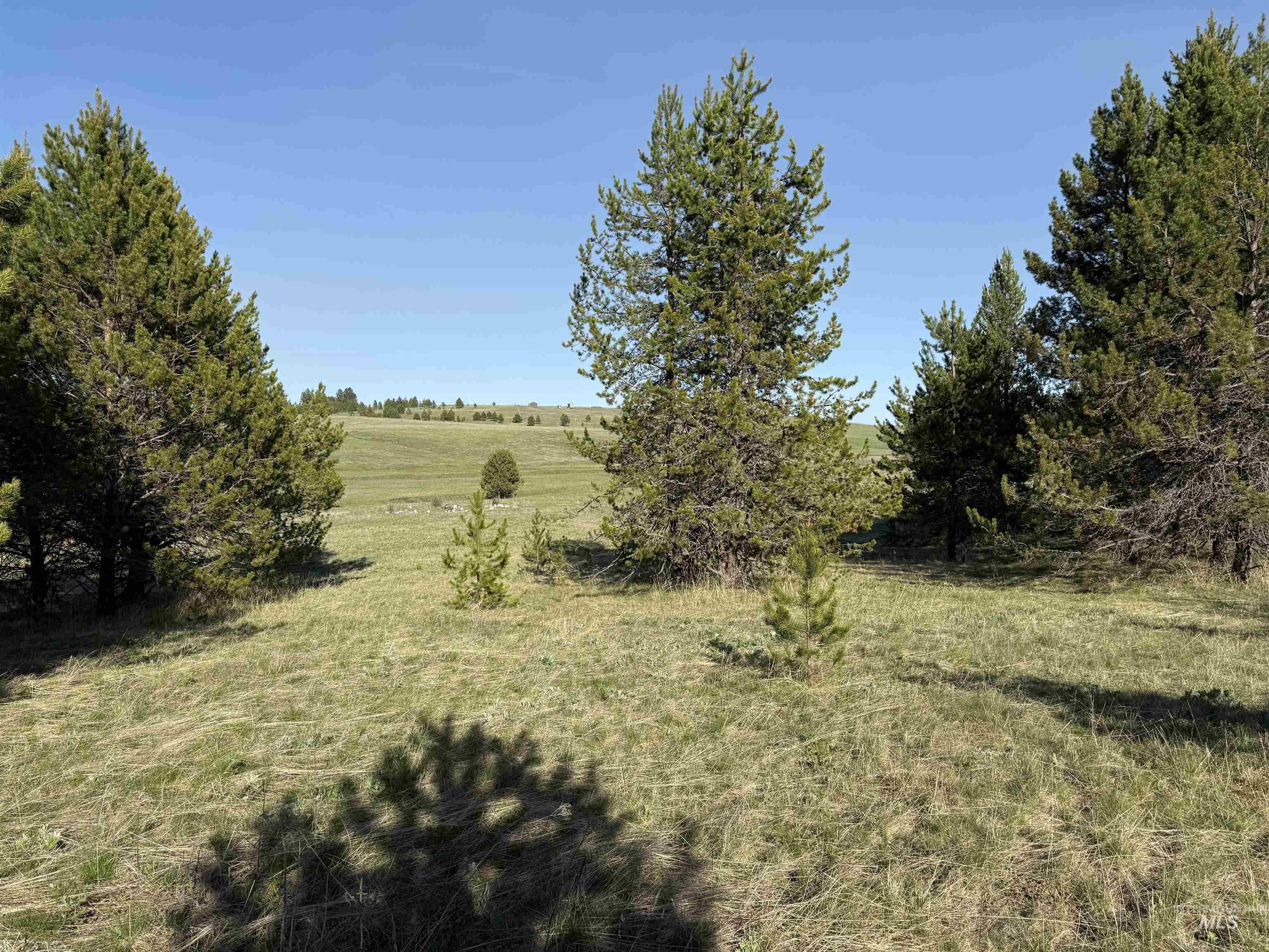 Tbd Stevens Rd Property Photo 23