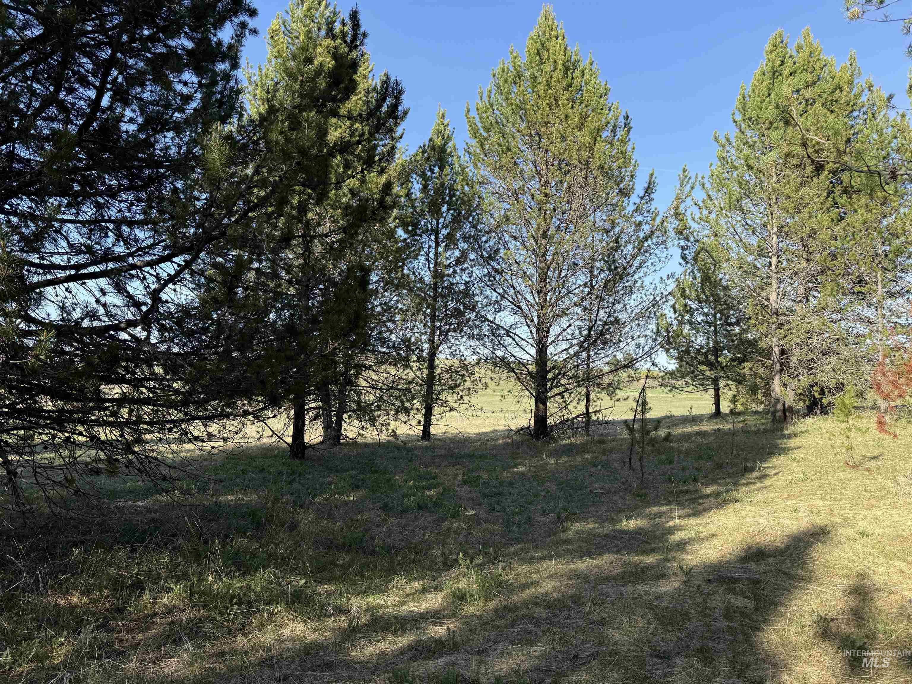 Tbd Stevens Rd Property Photo 24