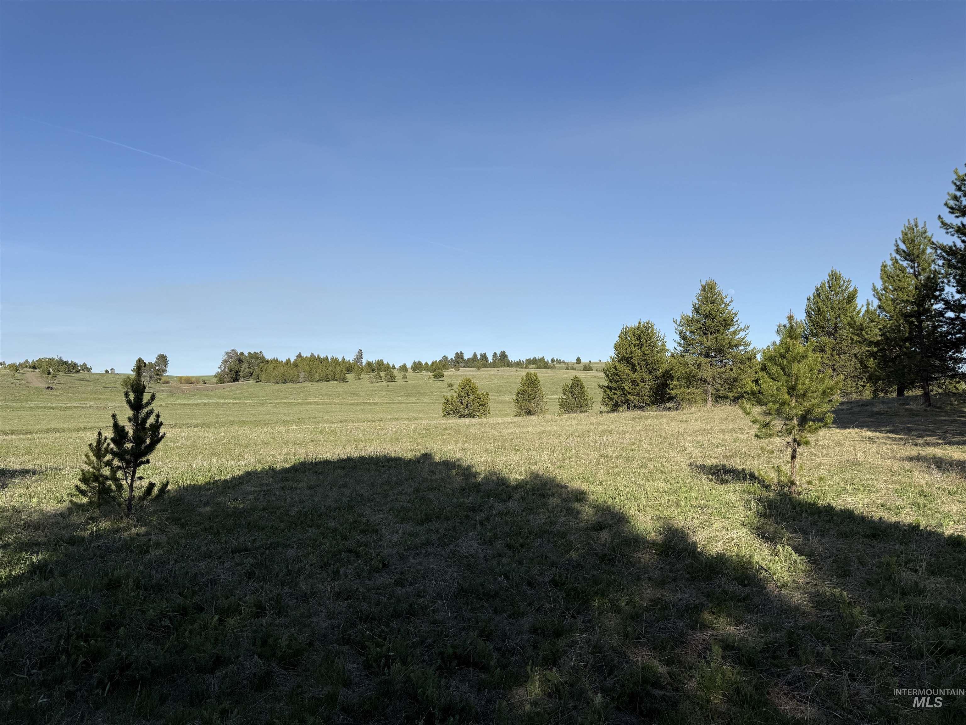 Tbd Stevens Rd Property Photo 25