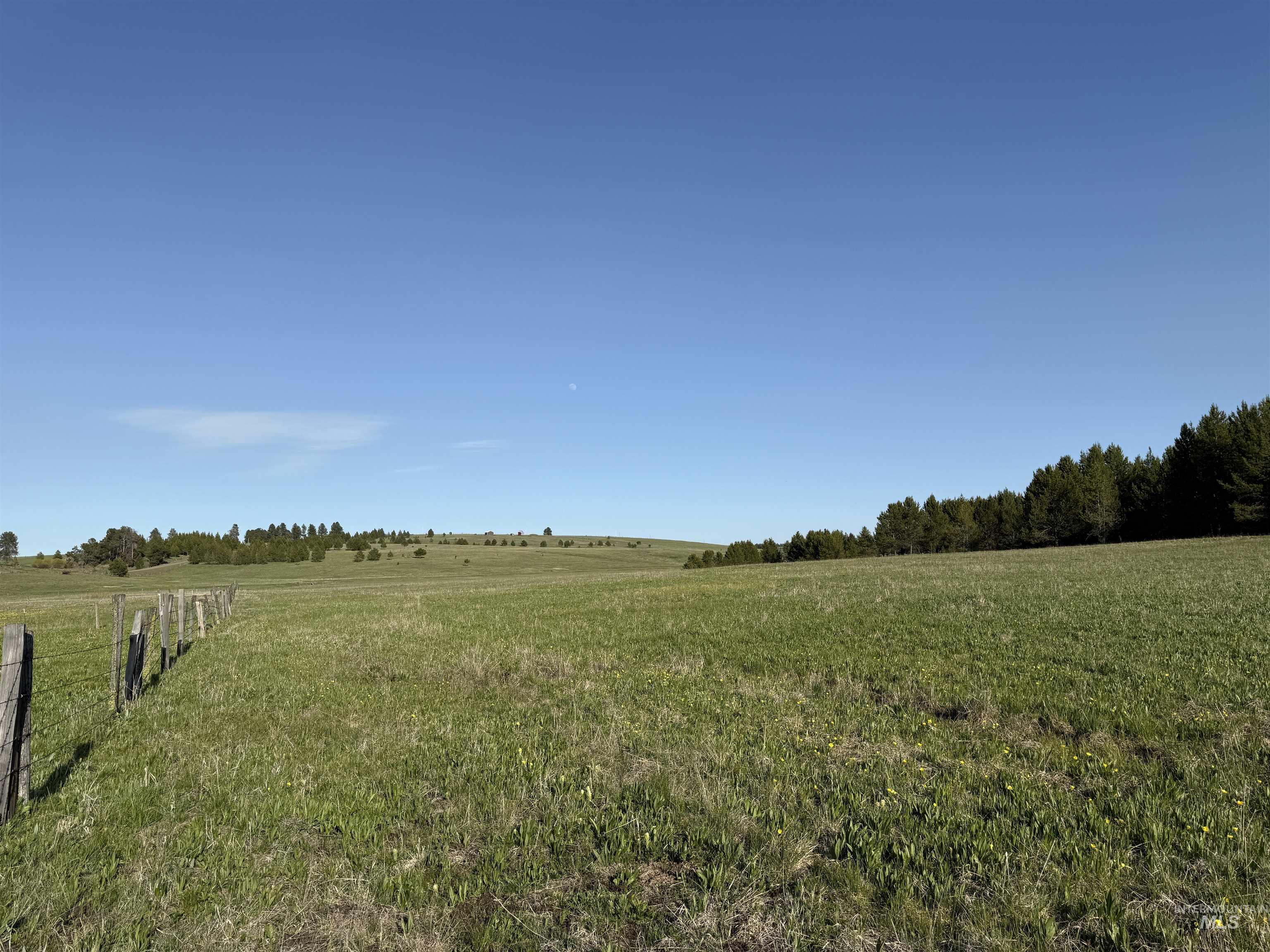 Tbd Stevens Rd Property Photo 29