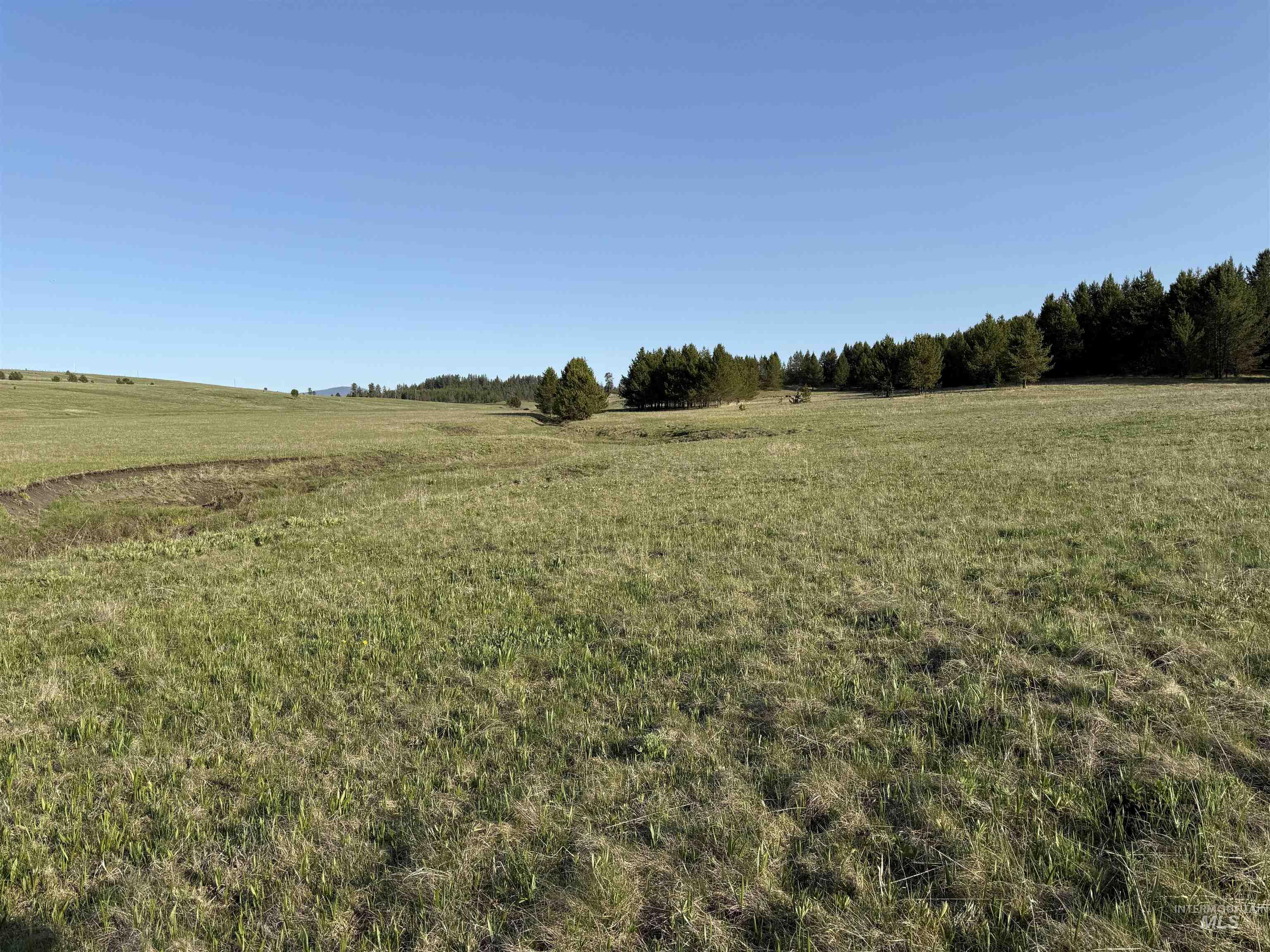 Tbd Stevens Rd Property Photo 31