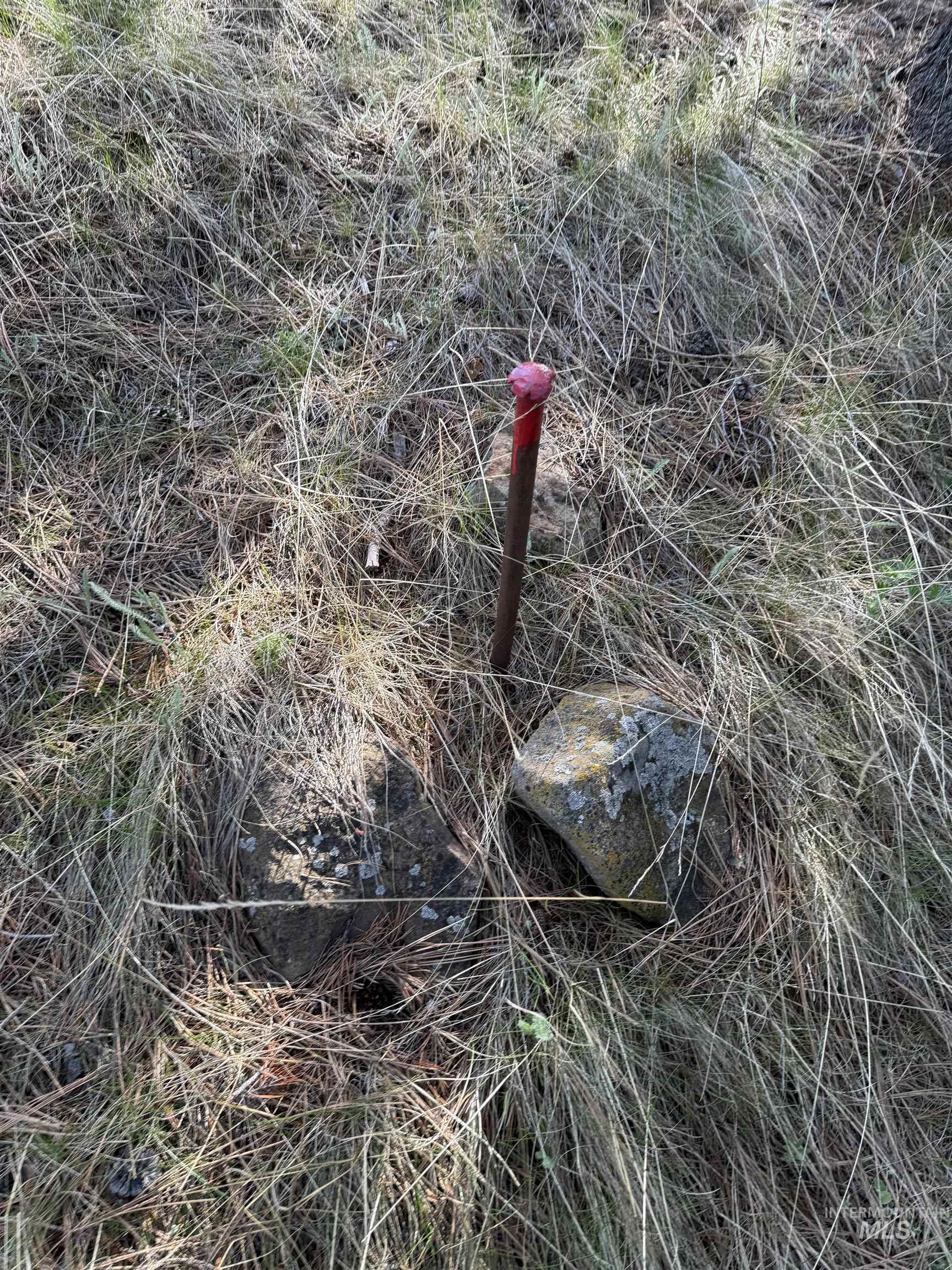 Tbd Stevens Rd Property Photo 36