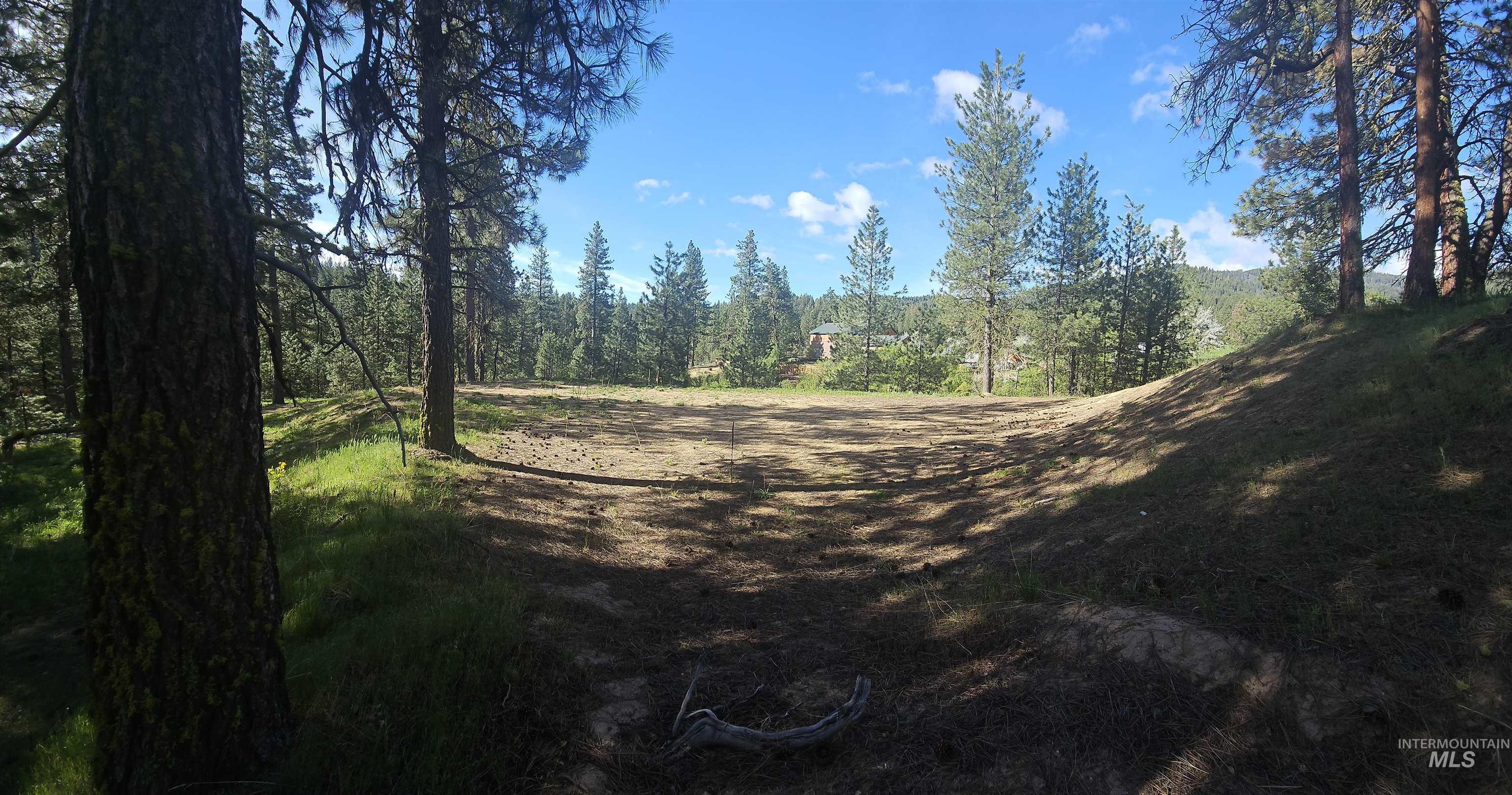 Lot 85 Alpine Ct. Property Photo 1