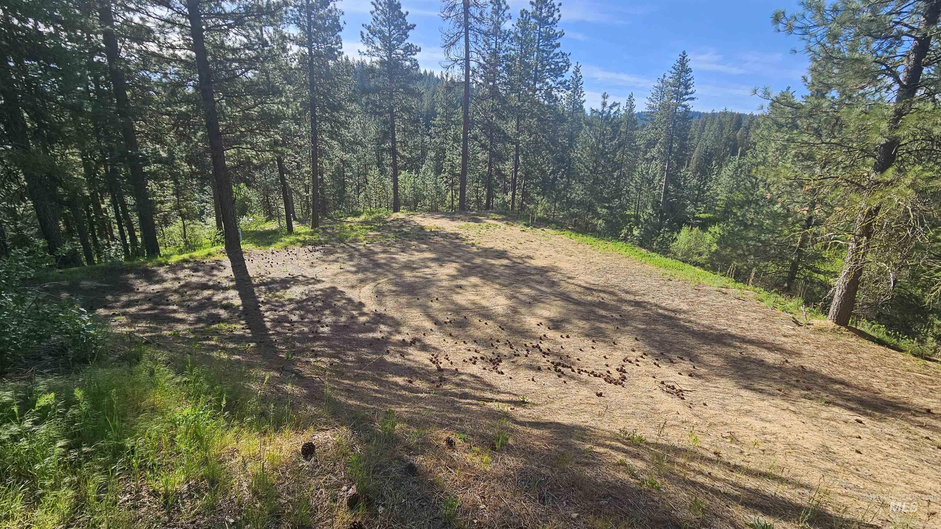 Lot 85 Alpine Ct. Property Photo 2