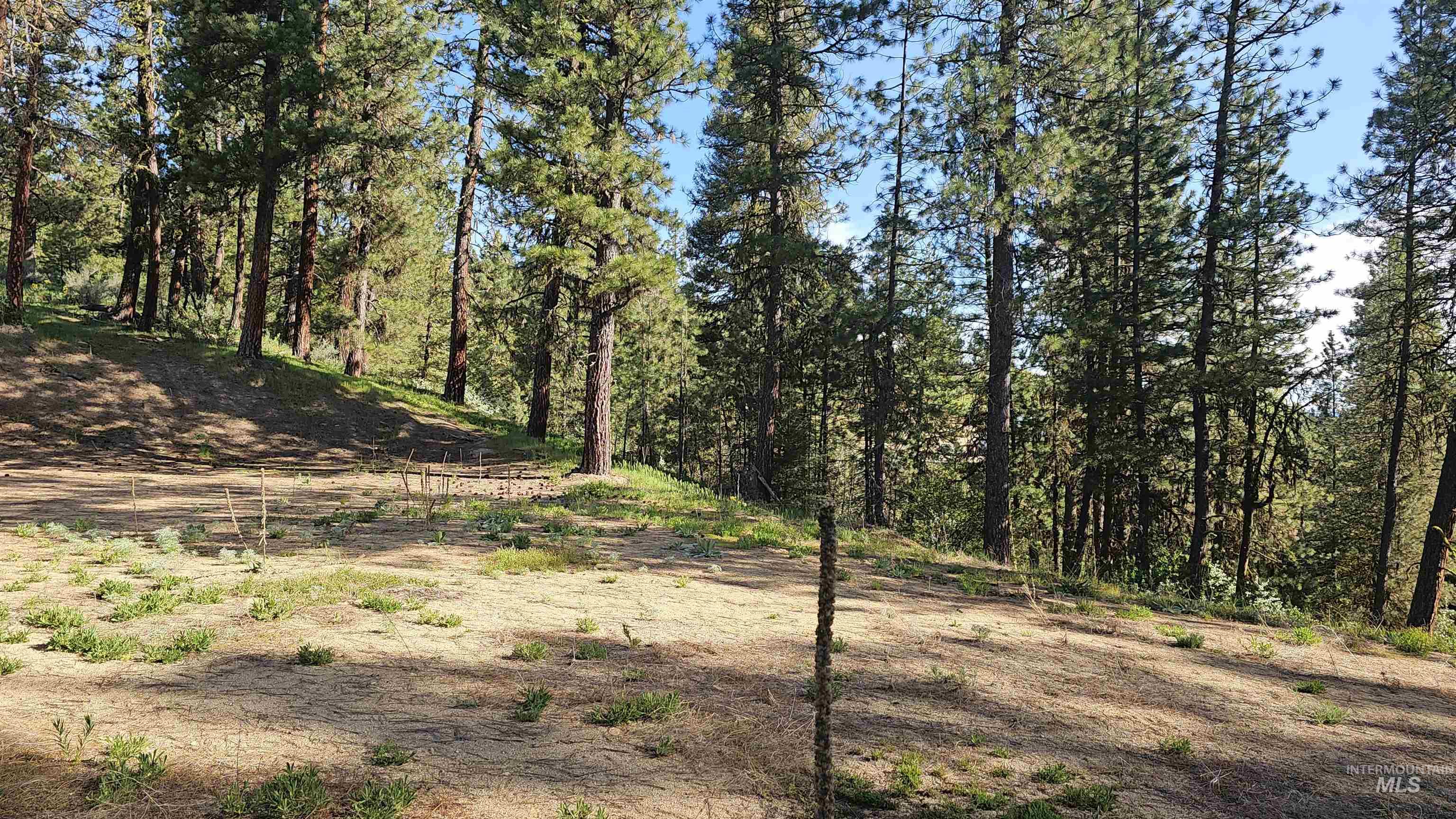 Lot 85 Alpine Ct. Property Photo 6
