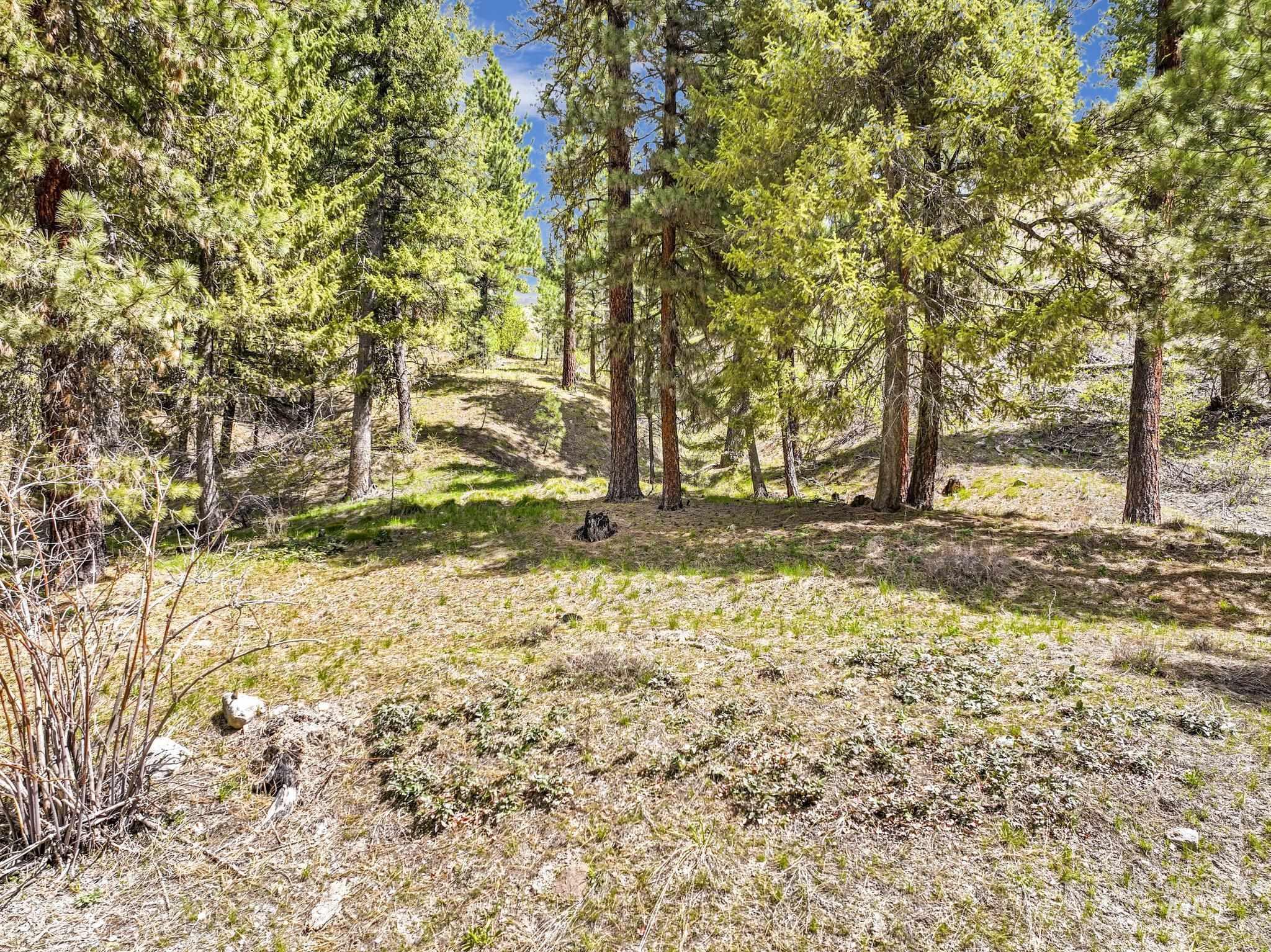 Tbd Trinity Creek Rd Property Photo