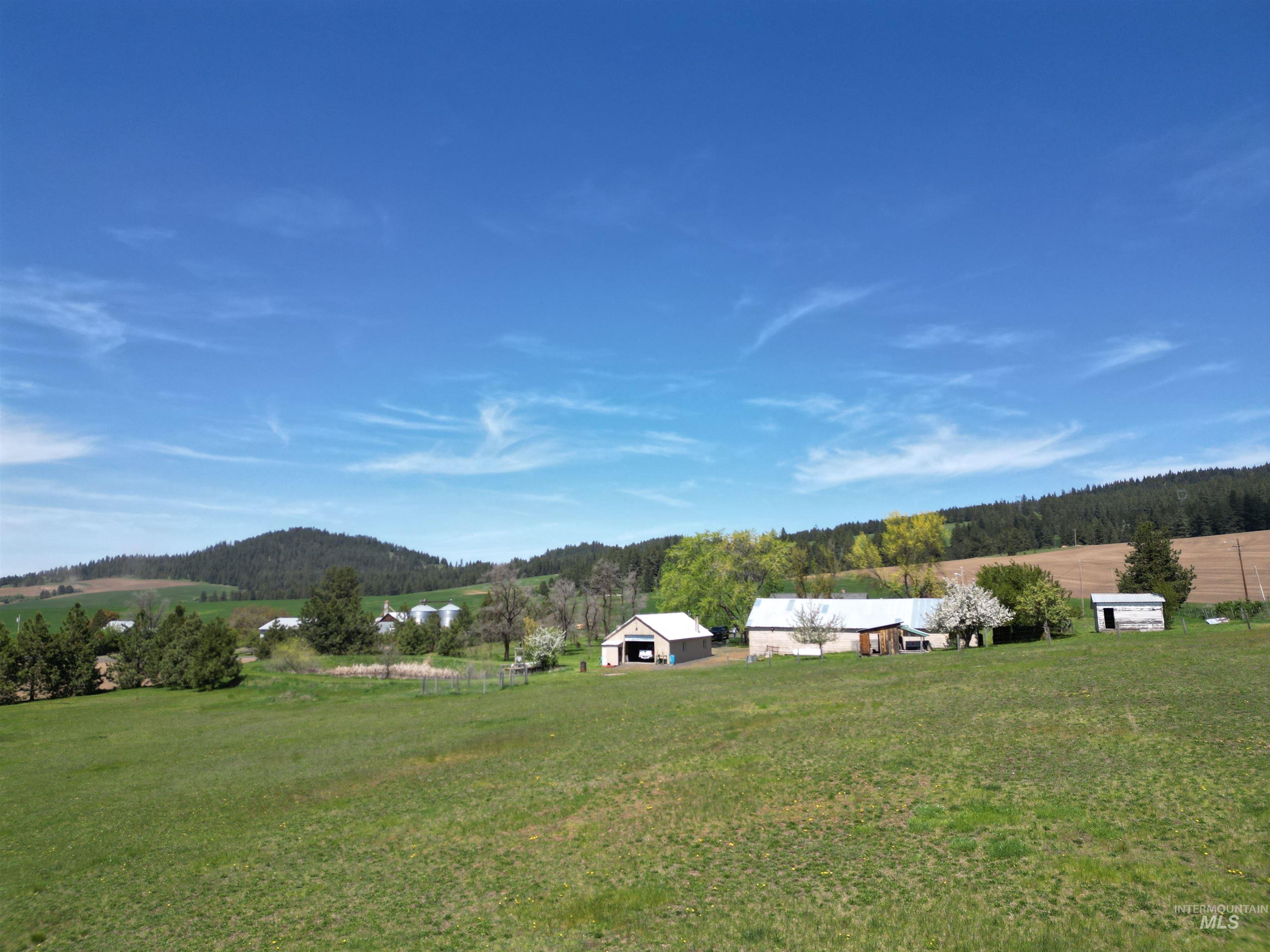 1514 Freeman Creek Rd. Property Photo 8