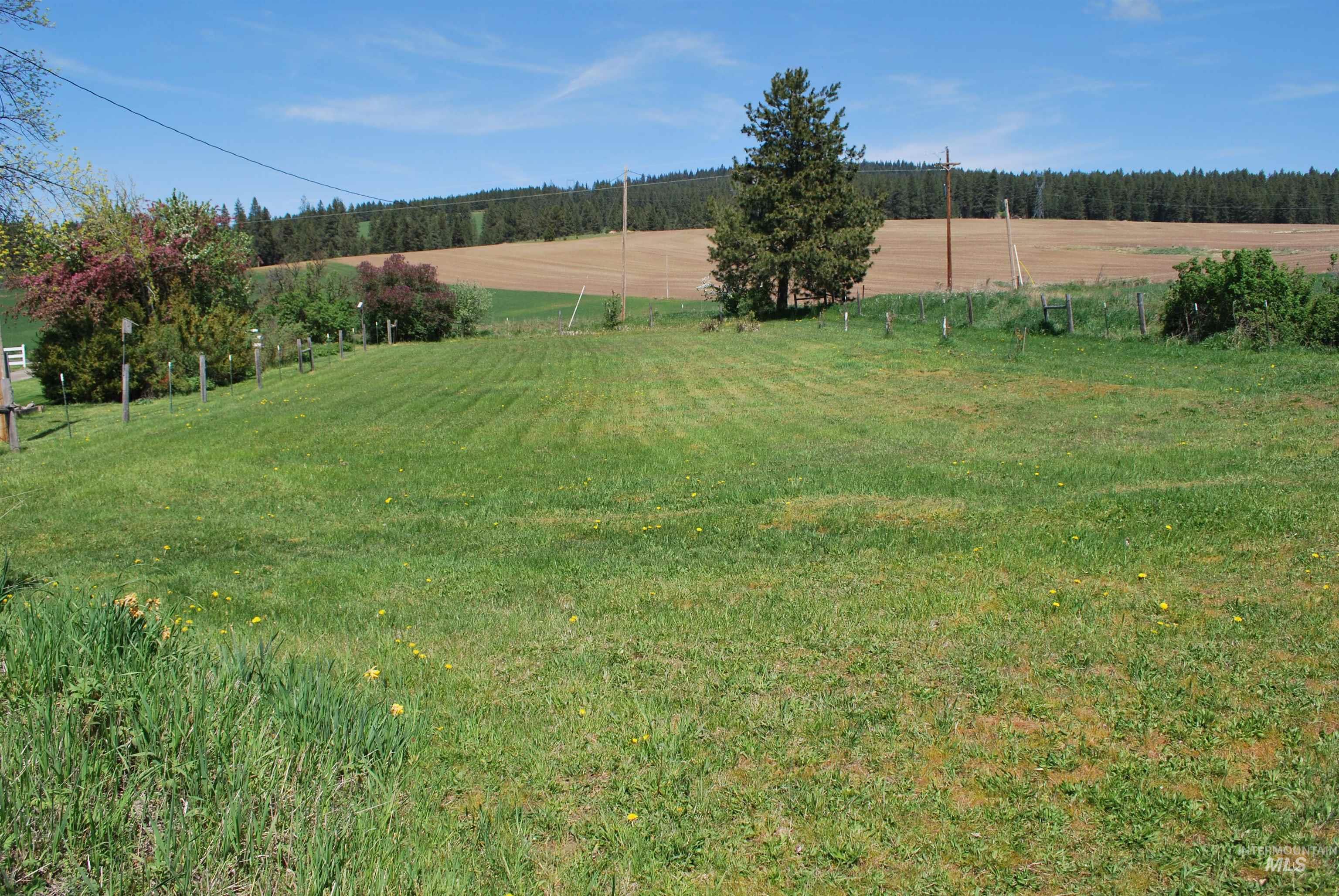 1514 Freeman Creek Rd. Property Photo 14