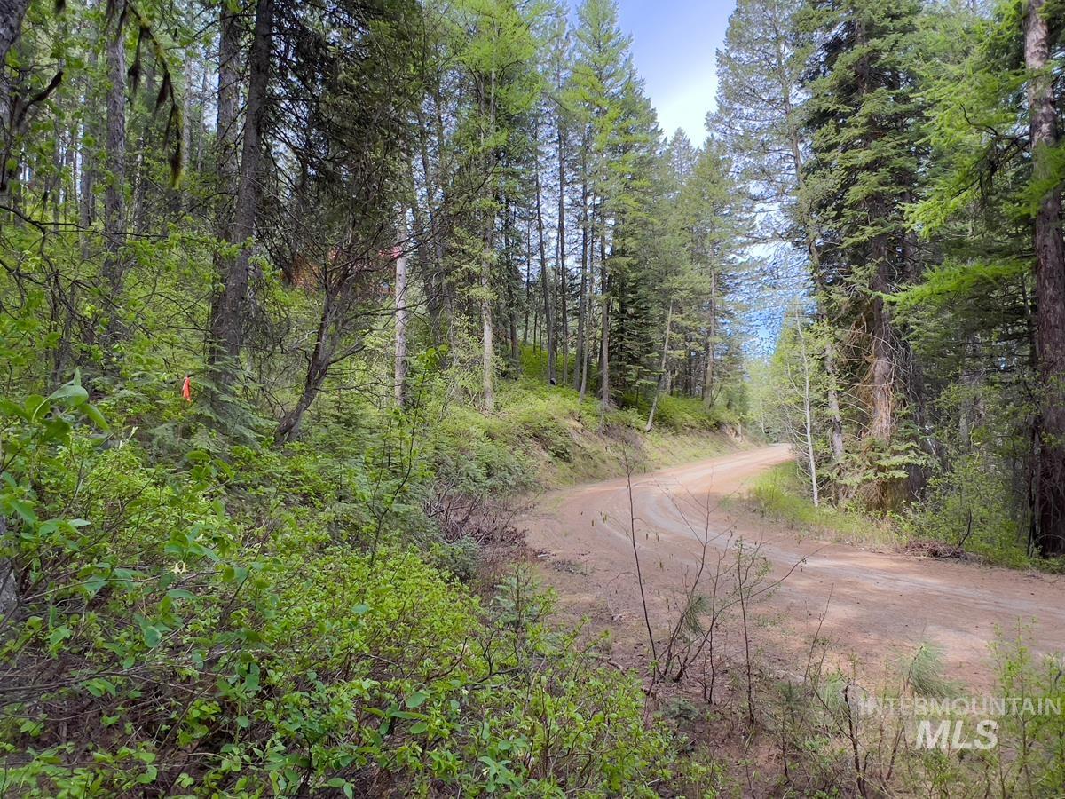 45 Landale Lane Property Photo 1