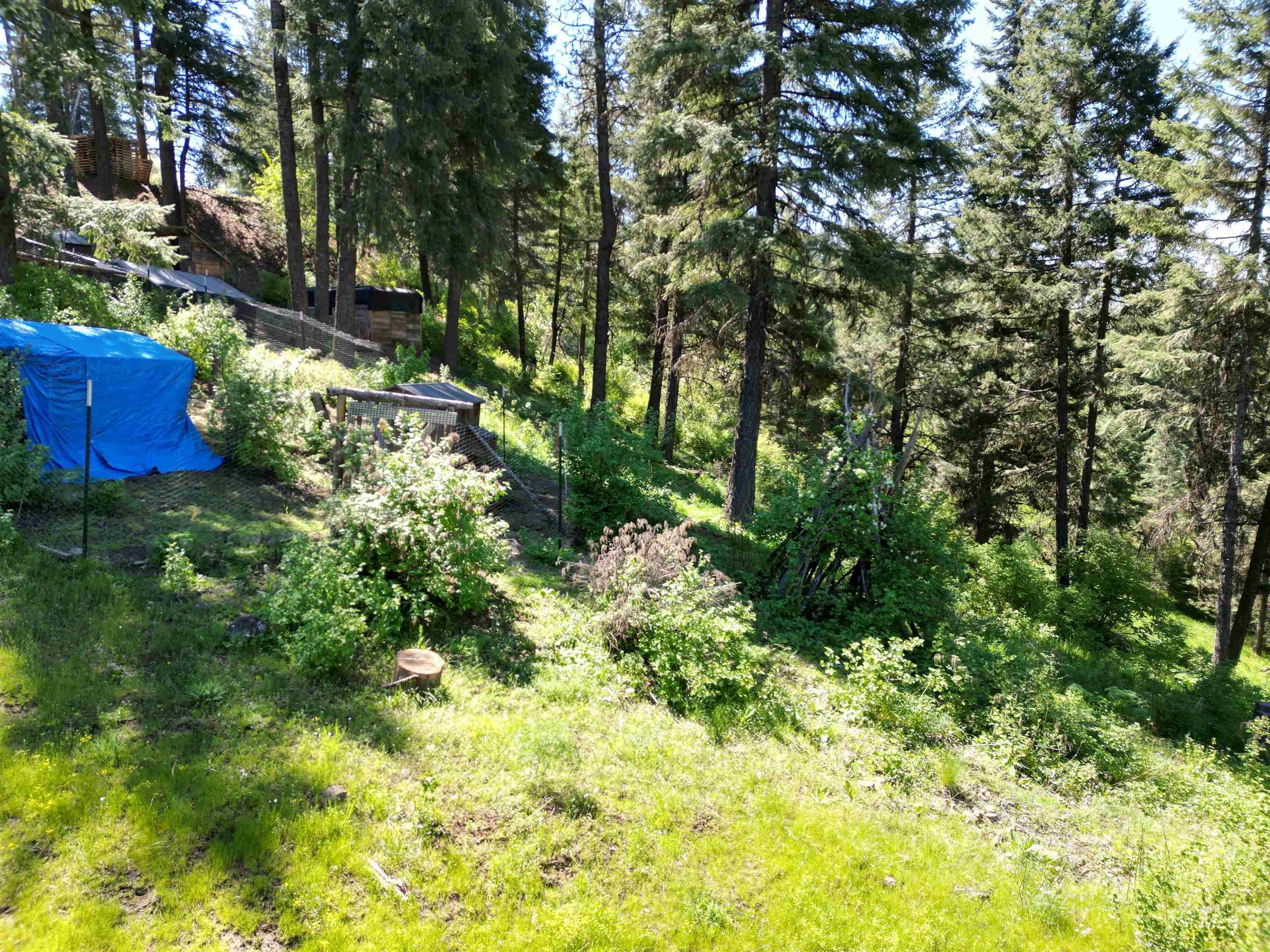997 Norton Knob Ln Property Photo 29
