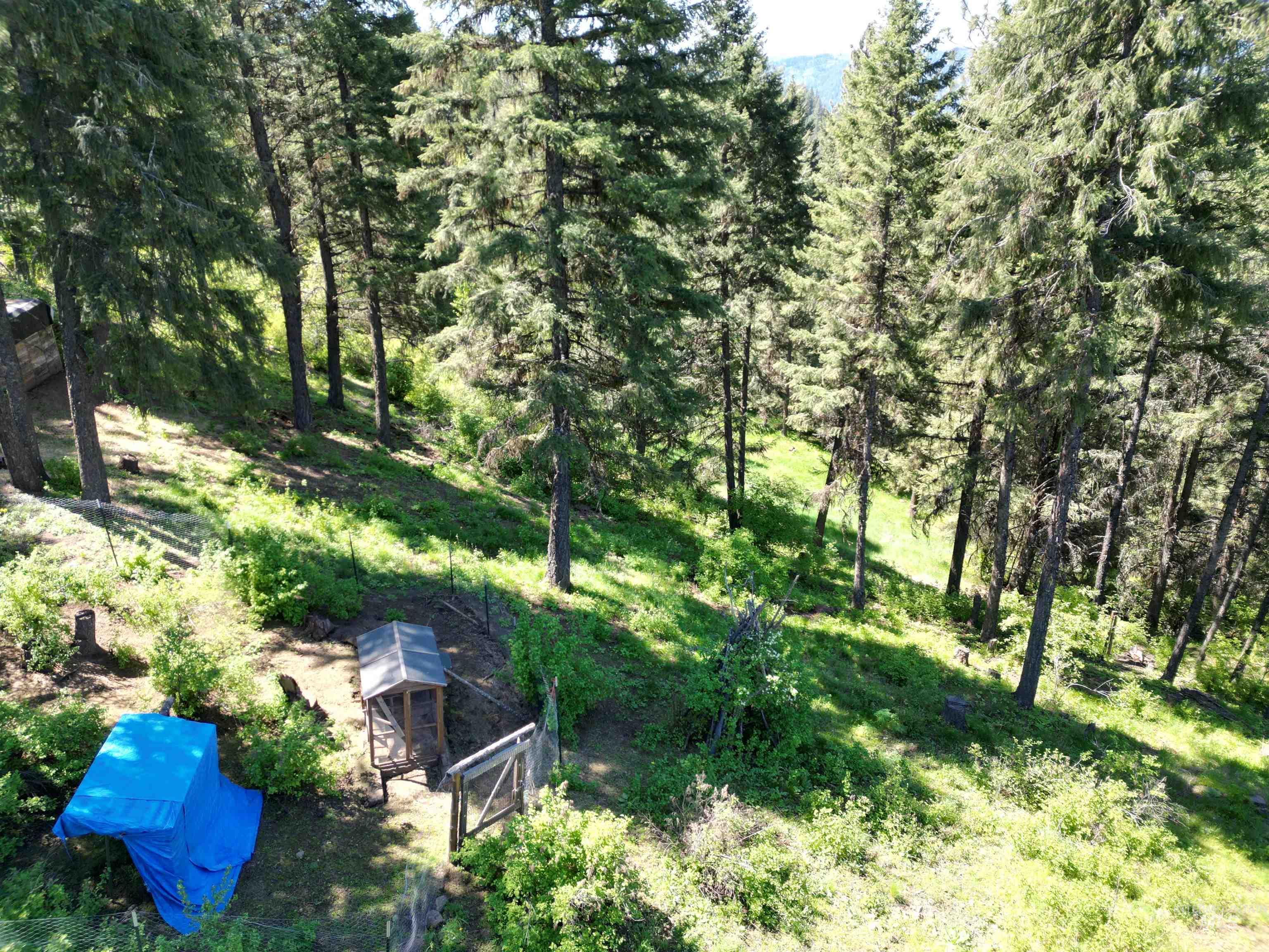 997 Norton Knob Ln Property Photo 30